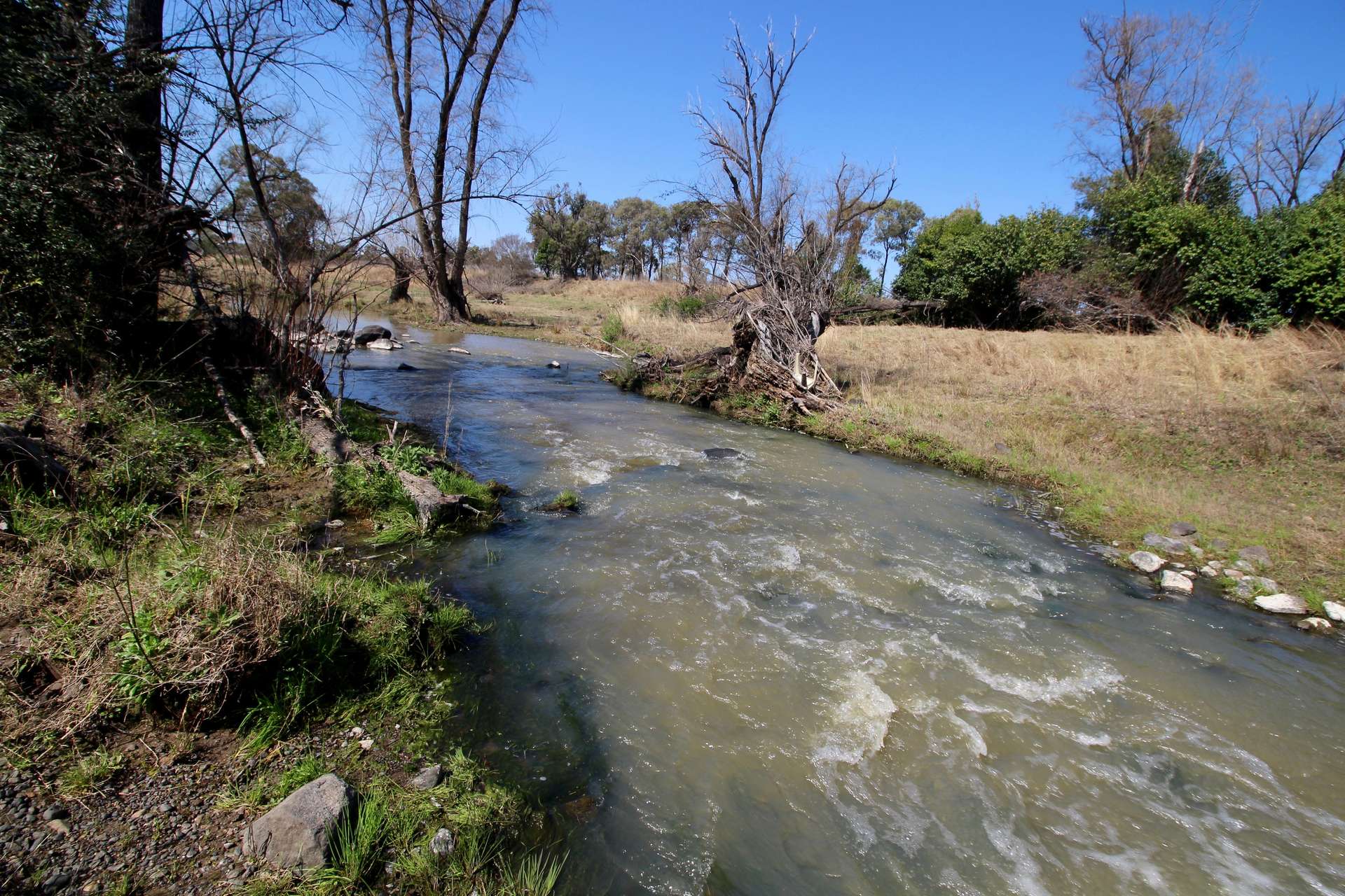 88 Toms Dr, Inverell For Sale by Farmbuy.com - image 2
