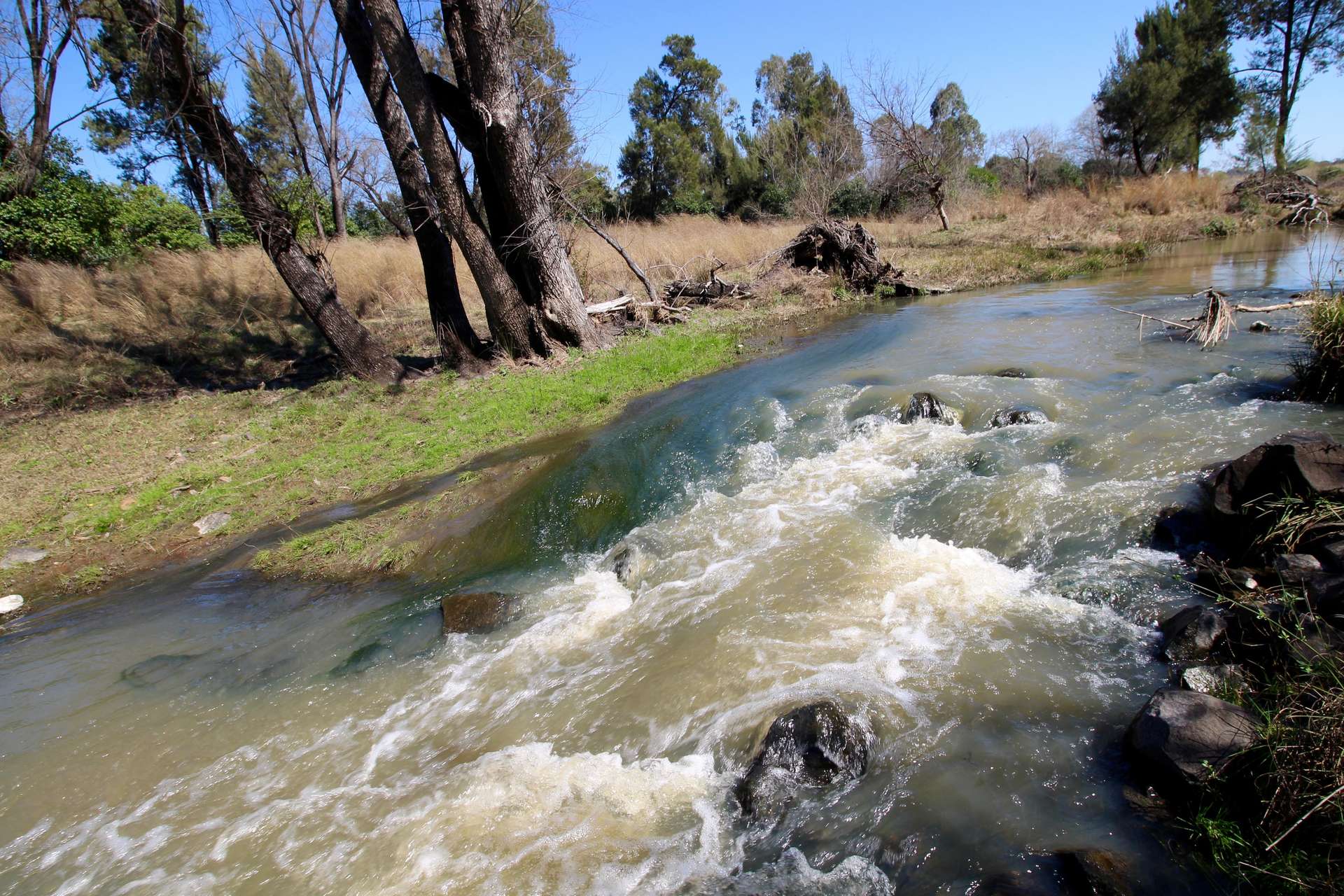 88 Toms Dr, Inverell For Sale by Farmbuy.com - image 14