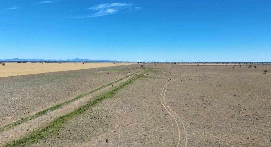 923 Warrena Road, Coonamble Sold by Farmbuy.com - image 4