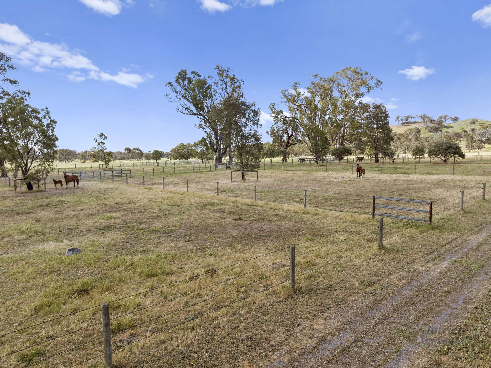 778 Sheans Creek Road, Euroa For Sale by Farmbuy.com - image 23