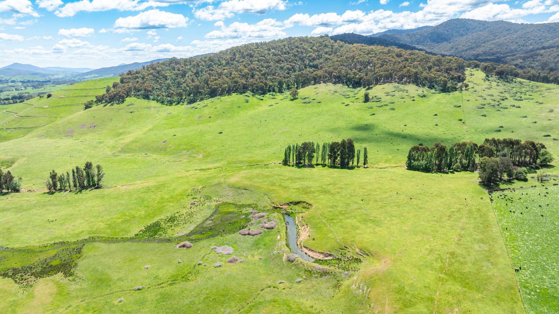 'Grassmere'/2485 Tallangatta Creek Rd, Tallangatta Valley Sold by Farmbuy.com - image 10