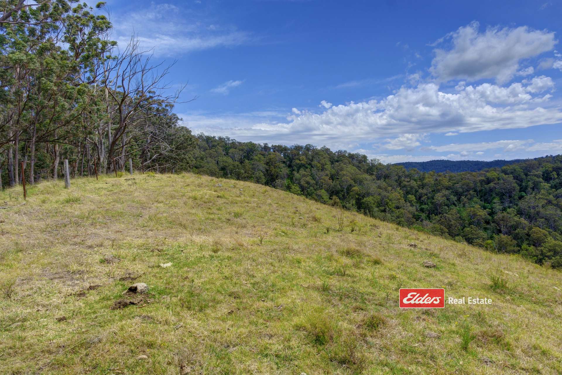 Lots 76-78 Glen Ward Road, Glen Ward VIA, Gloucester Sold by Farmbuy.com - image 21