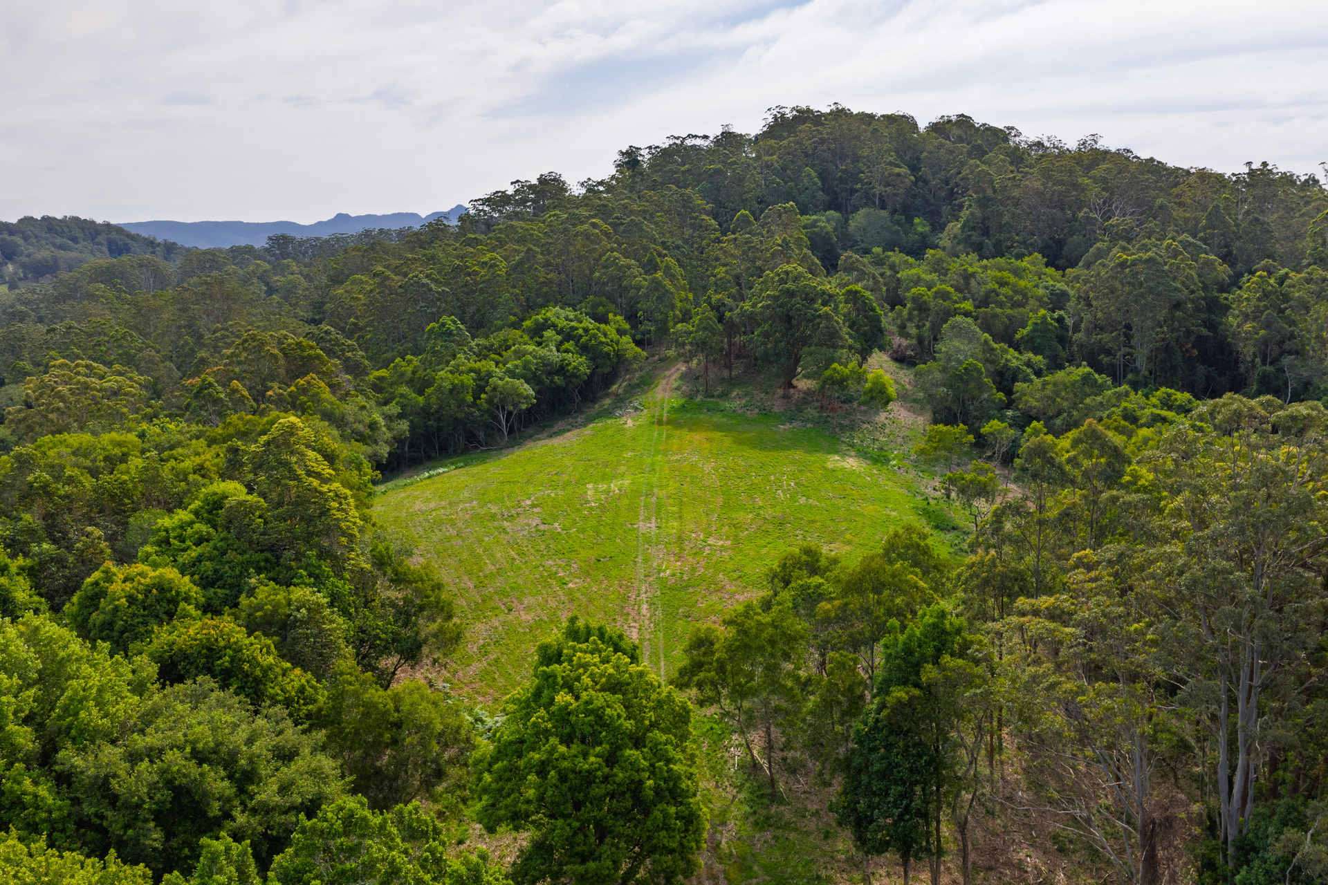 Lot 152 Stewarts River Road, Lorne Sold by Farmbuy.com - image 7