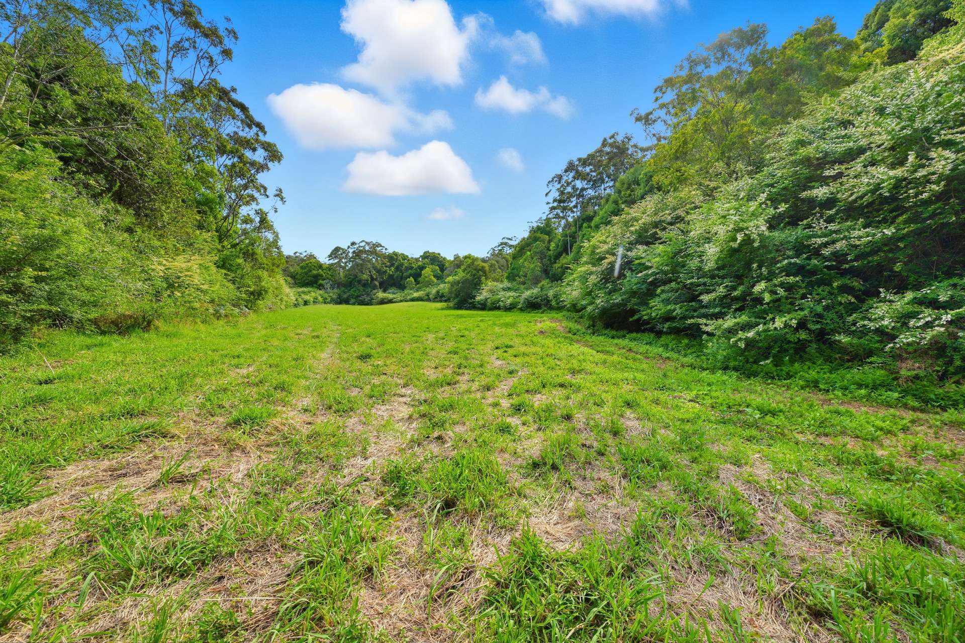 Lot 152 Stewarts River Road, Lorne Sold by Farmbuy.com - image 8