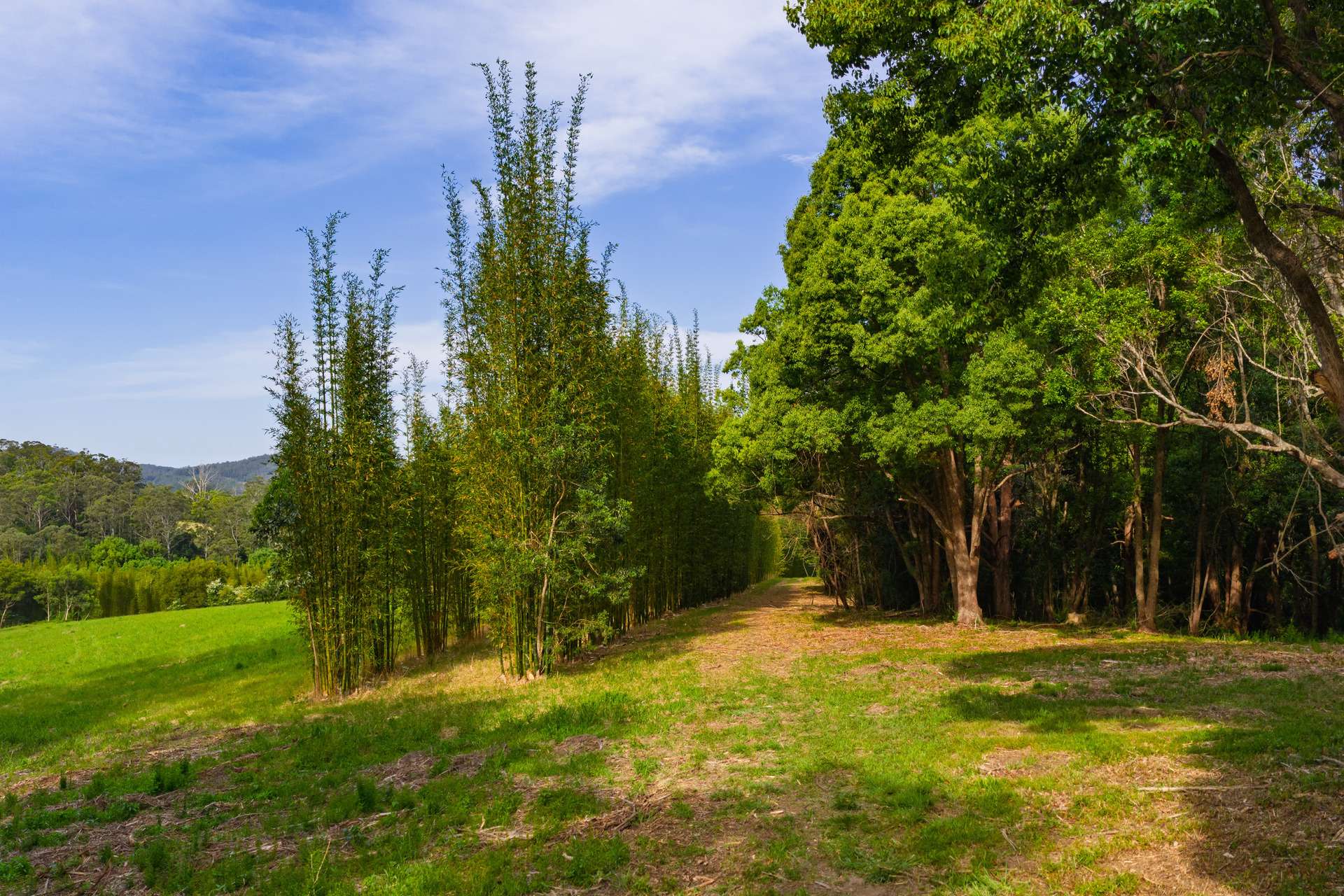 Lot 152 Stewarts River Road, Lorne Sold by Farmbuy.com - image 12