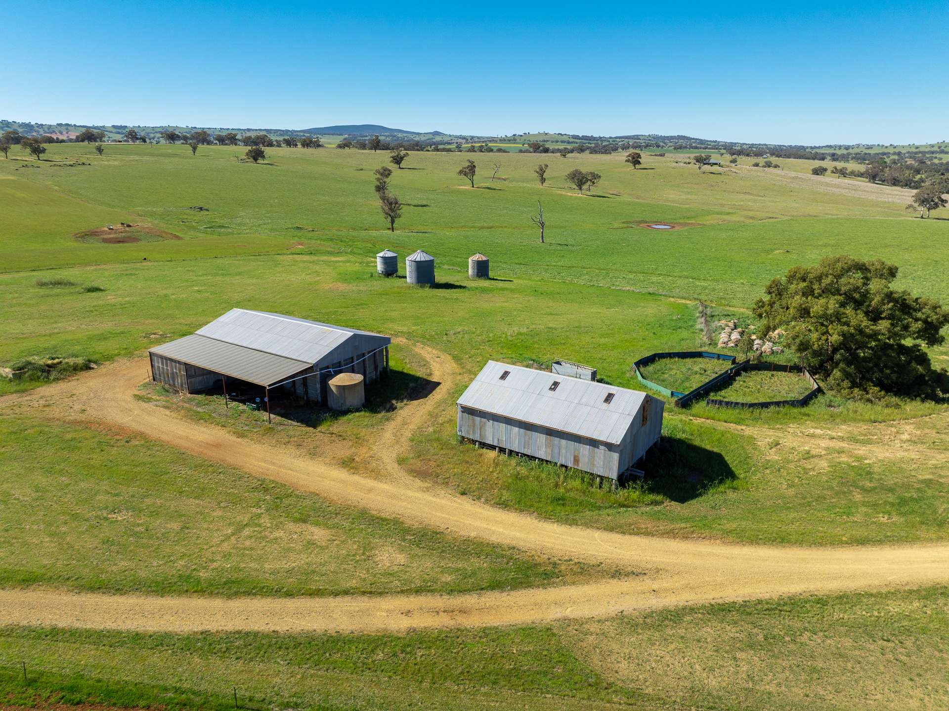 1097 Davys Plains Road, Cudal For Sale by Farmbuy.com - image 15