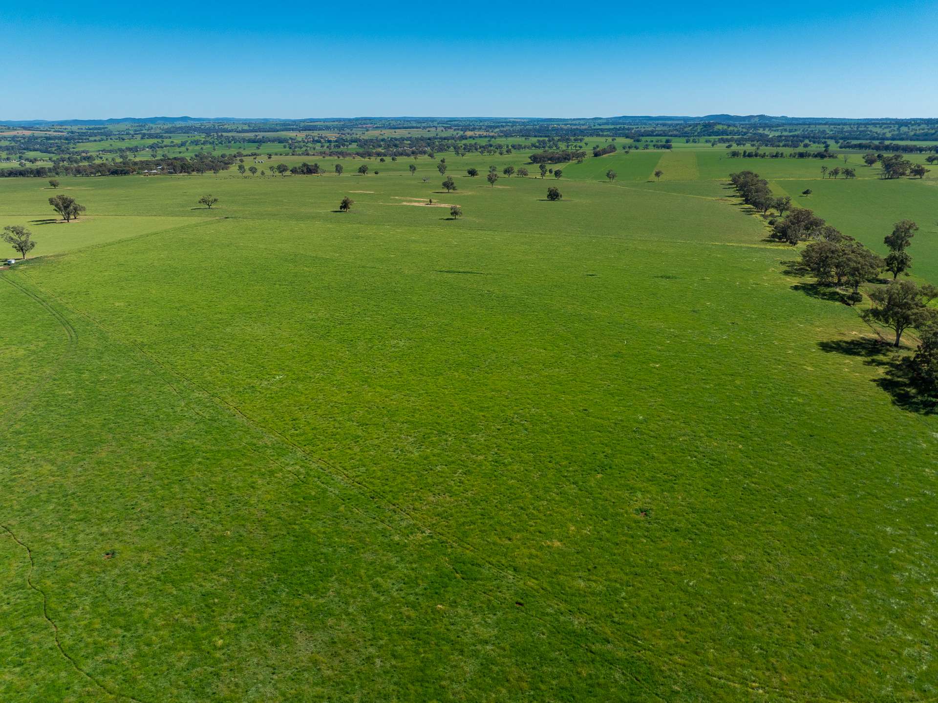 1097 Davys Plains Road, Cudal For Sale by Farmbuy.com - image 10