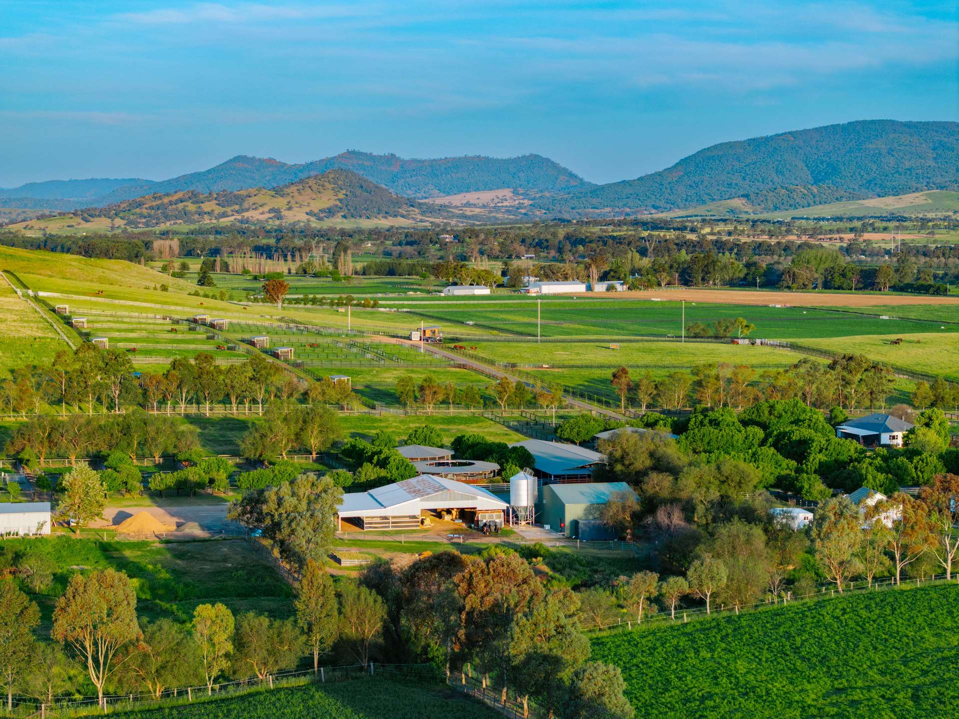 101 Segenhoe Road, Segenhoe For Sale by Farmbuy.com - image 11