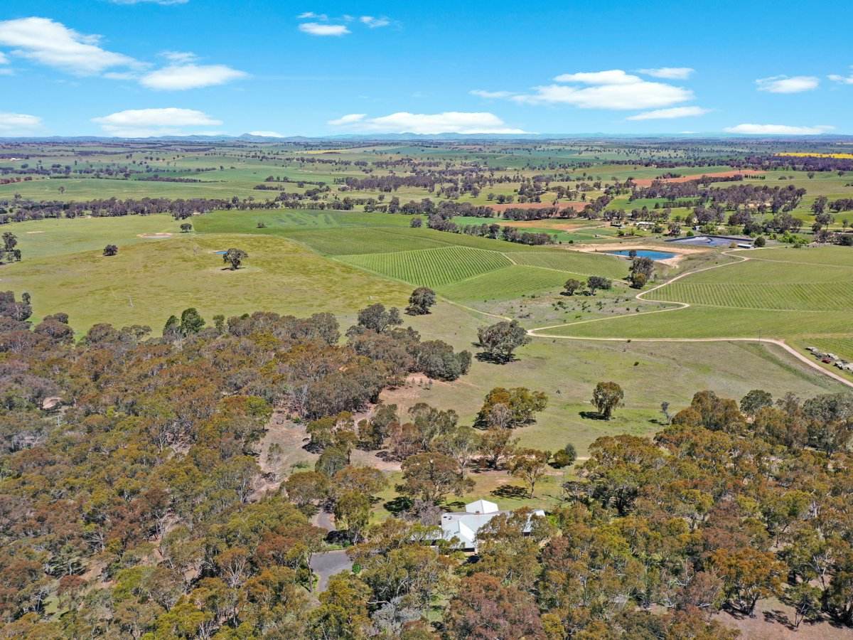 138 Black Range Road, Young For Sale by Farmbuy.com - image 24
