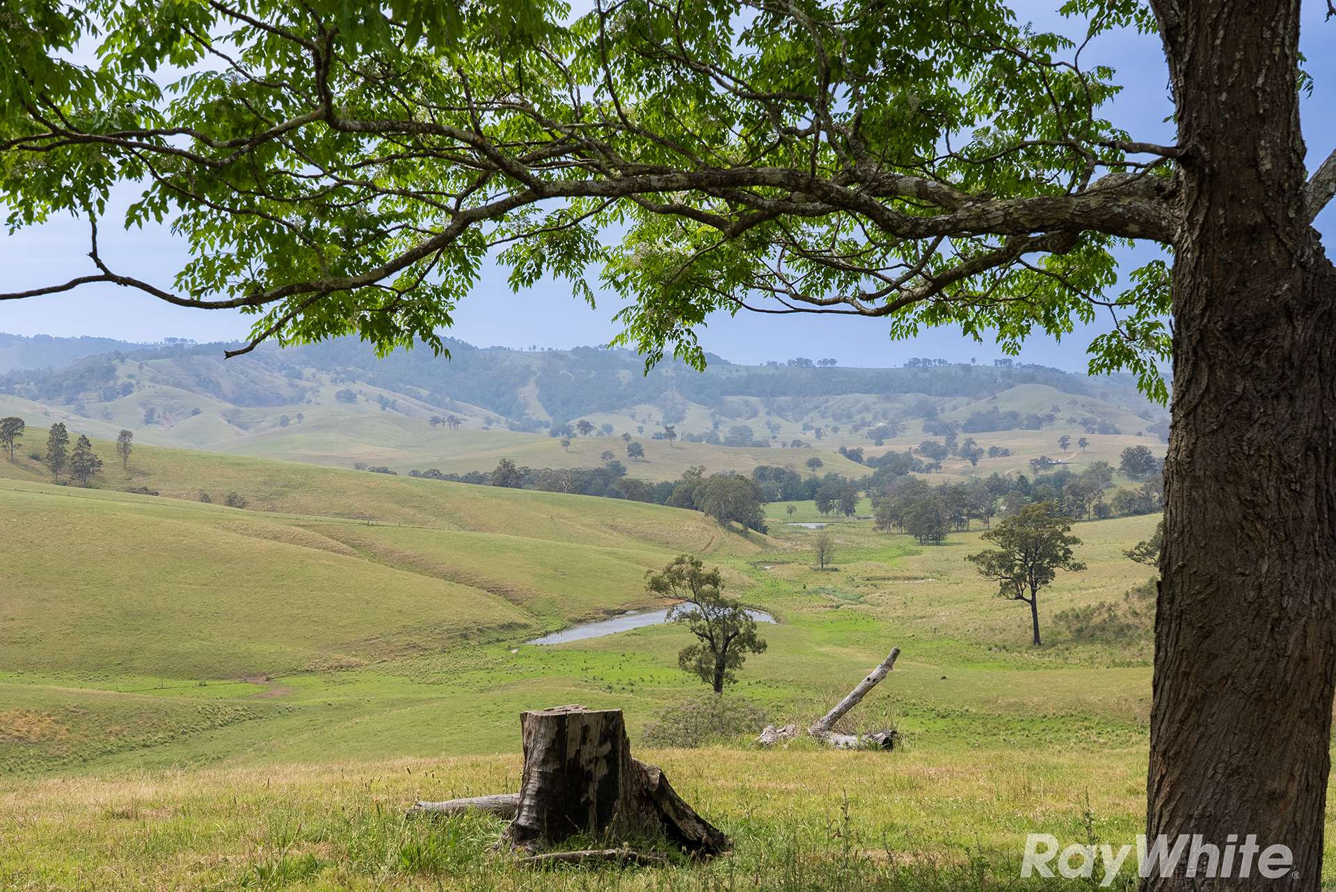 88 Turnbulls Road, East Gresford For Sale by Farmbuy.com - image 12