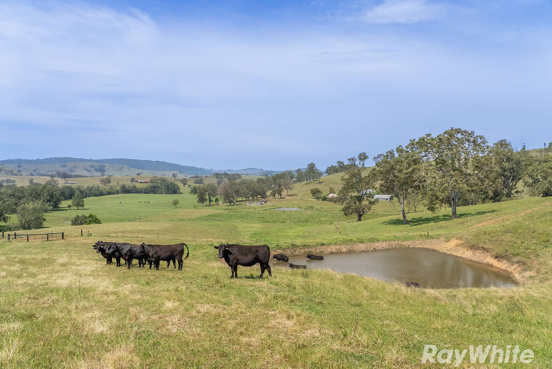 88 Turnbulls Road, East Gresford For Sale by Farmbuy.com - image 8