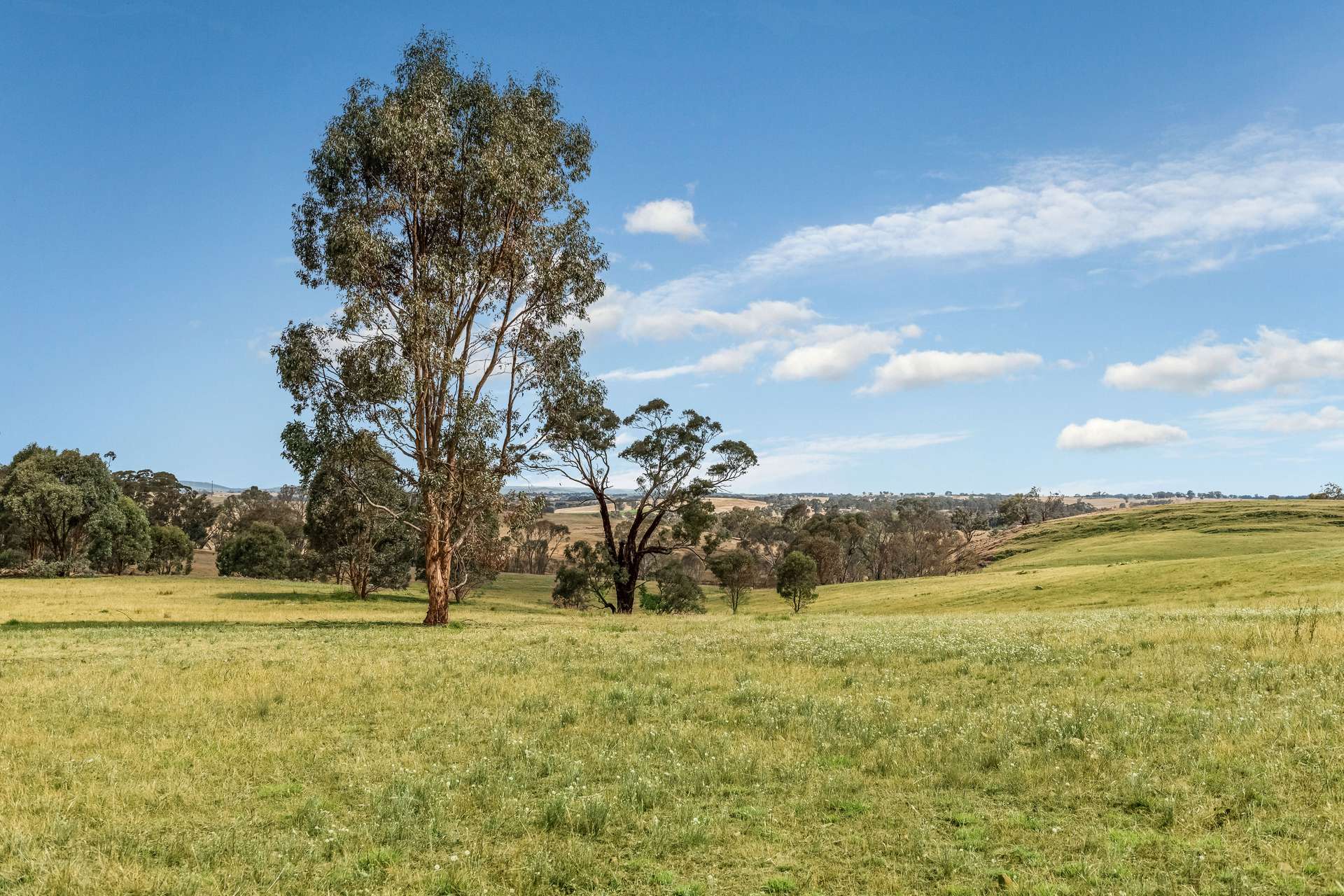 503 Mia Mia-Derrinal Road, Heathcote For Sale by Farmbuy.com - image 17