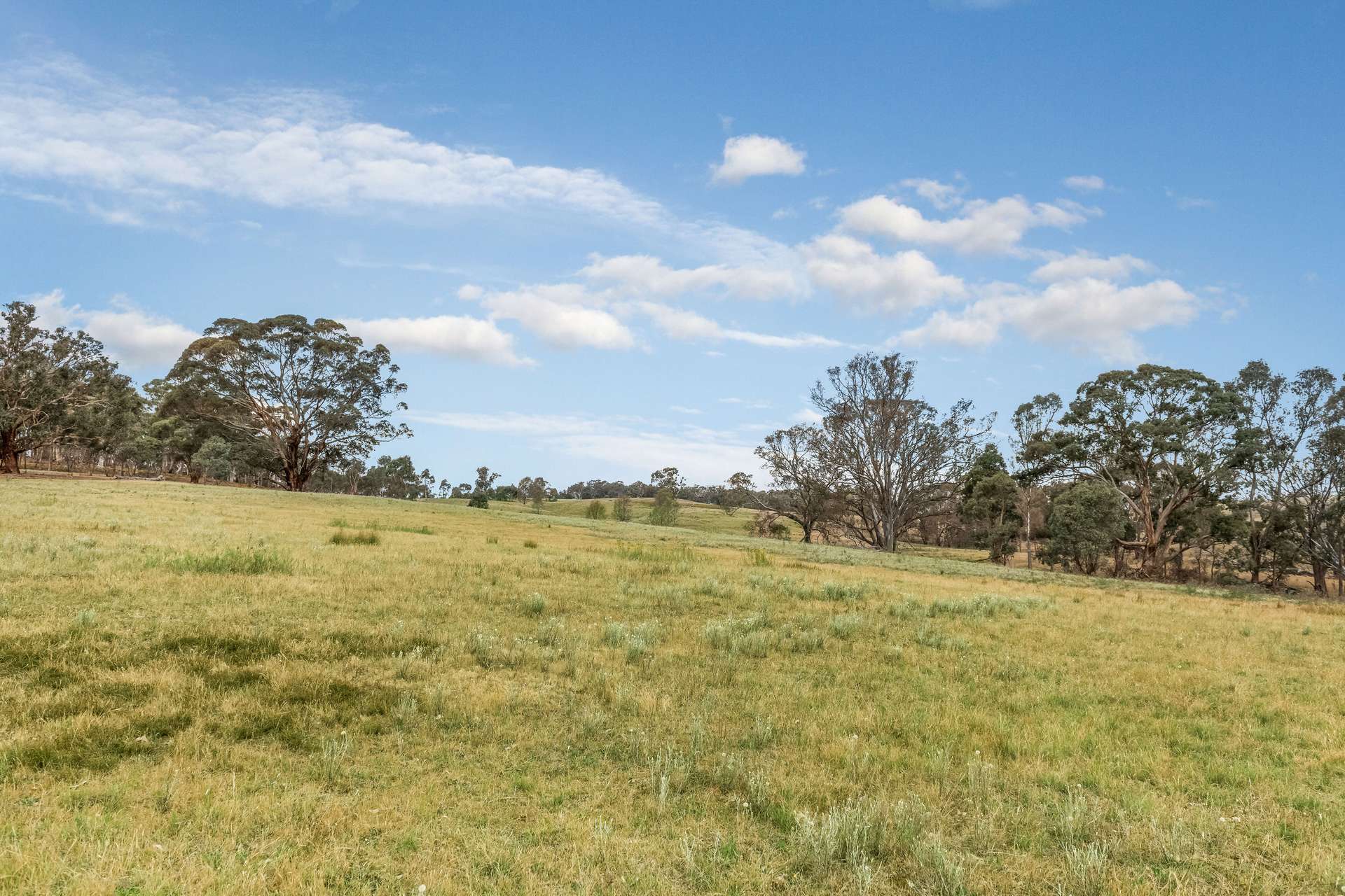 503 Mia Mia-Derrinal Road, Heathcote For Sale by Farmbuy.com - image 22