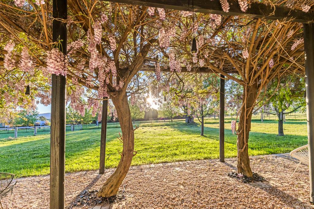 229 Melrose Road, Mudgee NSW 2850