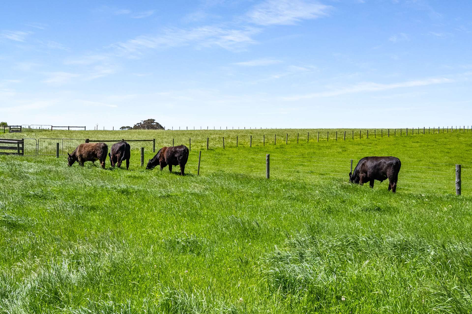207 Berkefeld Road, Ob Flat For Sale by Farmbuy.com - image 20