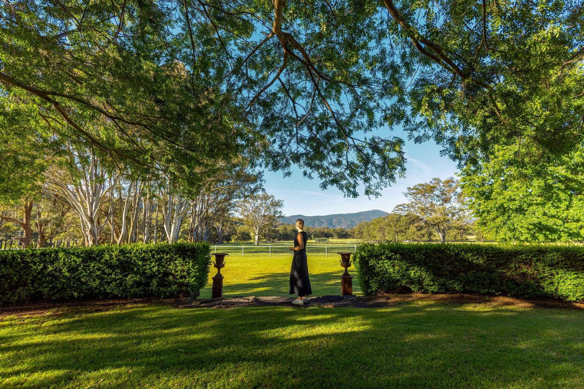 531 Pages River Road, Murrurundi Sold by Farmbuy.com - image 11