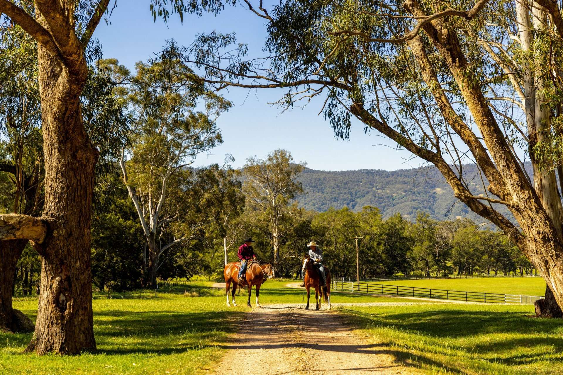 531 Pages River Road, Murrurundi Sold by Farmbuy.com - image 25