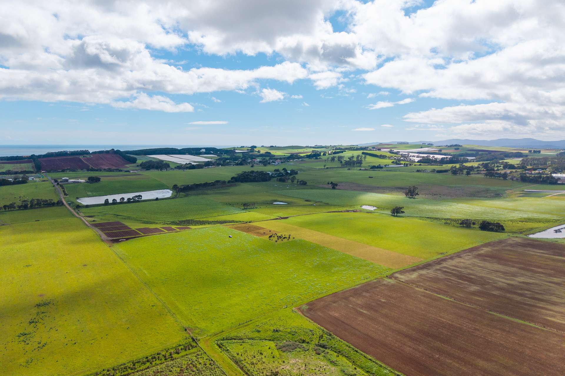 Lot 1 Blacks Road, Wesley Vale For Sale by Farmbuy.com - image 7
