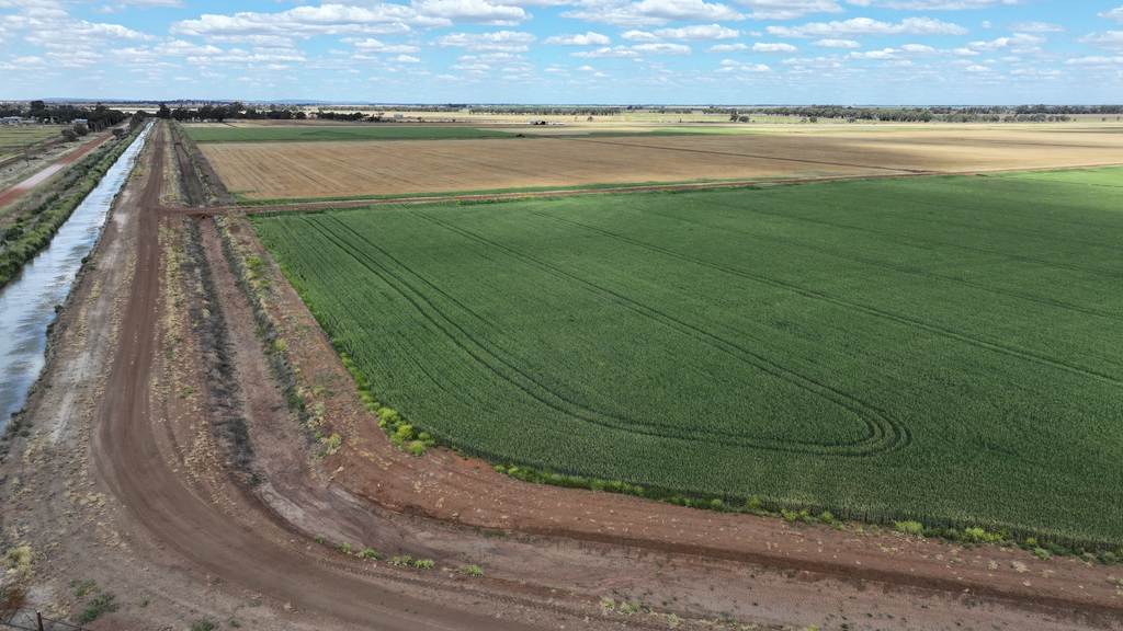 Farm 2528 Cashmere Road, Widgelli NSW 2680
