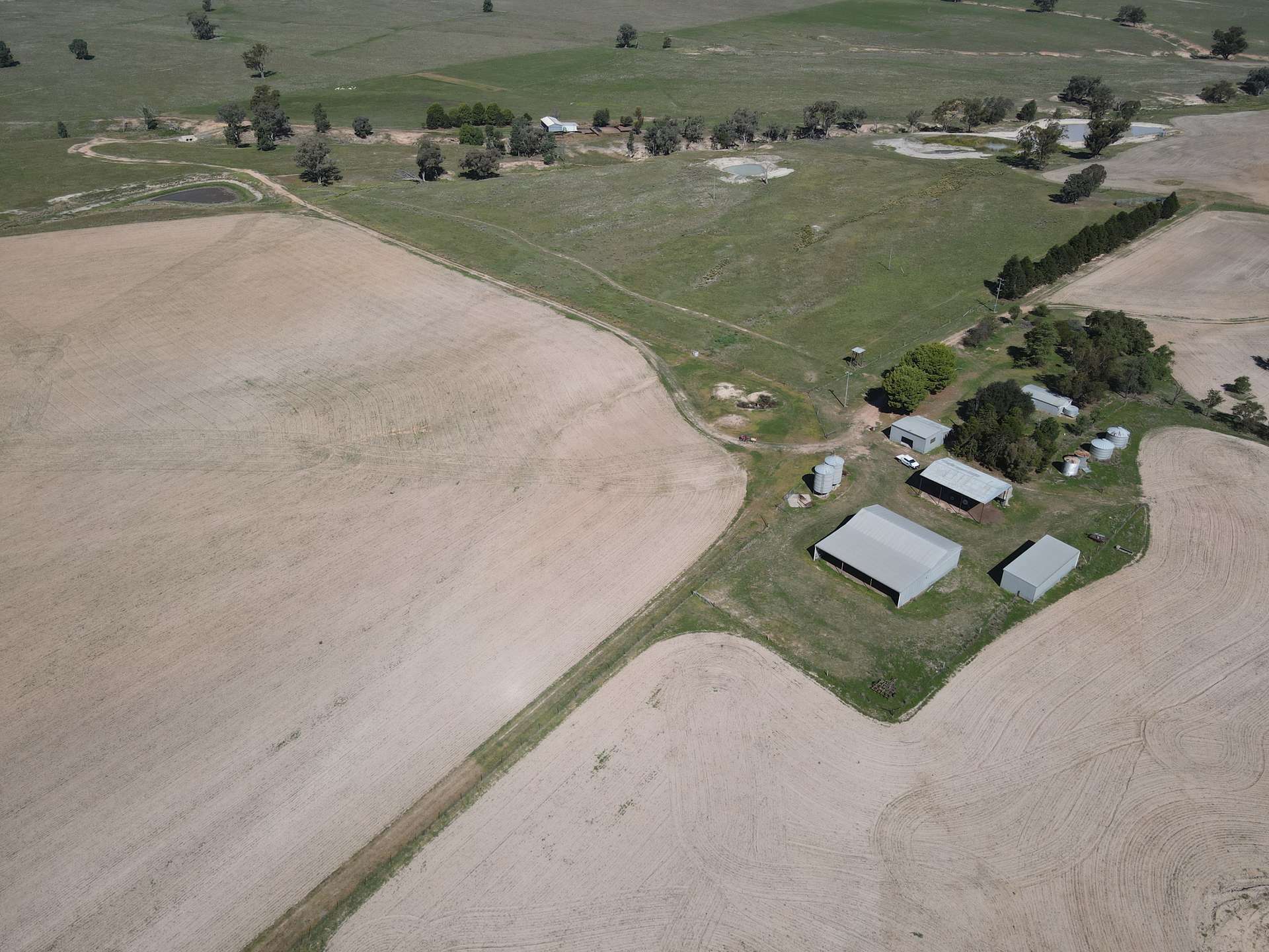 "Babynda" 829 Eulimore Road, Eugowra For Sale by Farmbuy.com - image 8