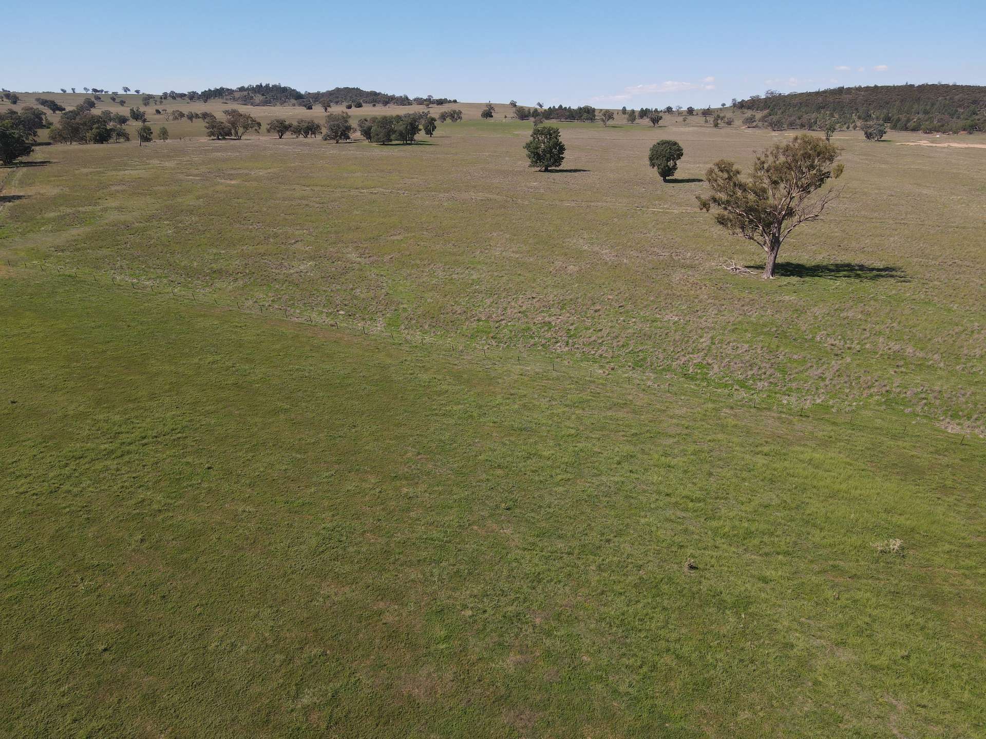 "Babynda" 829 Eulimore Road, Eugowra For Sale by Farmbuy.com - image 1