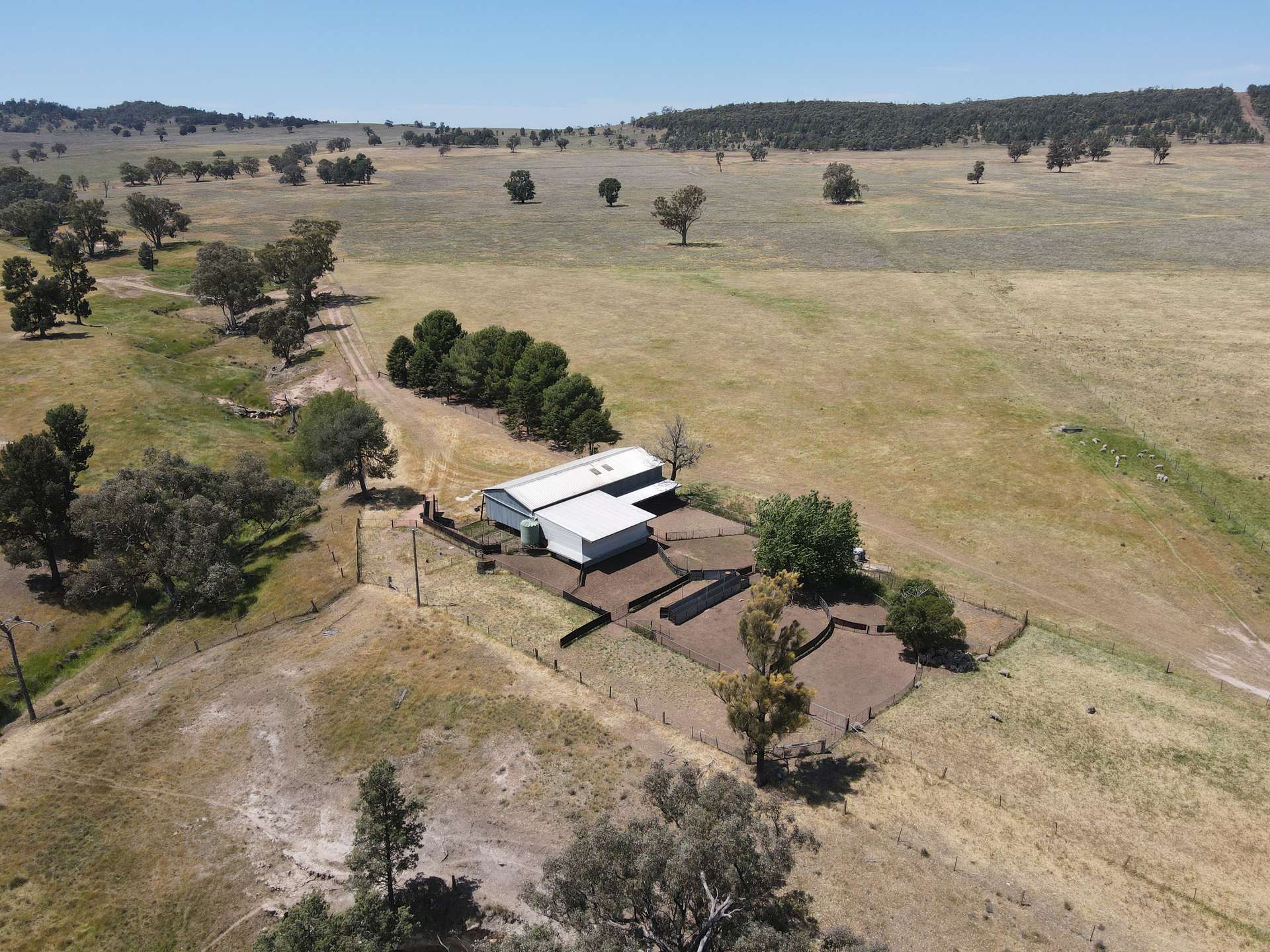 "Babynda" 829 Eulimore Road, Eugowra For Sale by Farmbuy.com - image 9