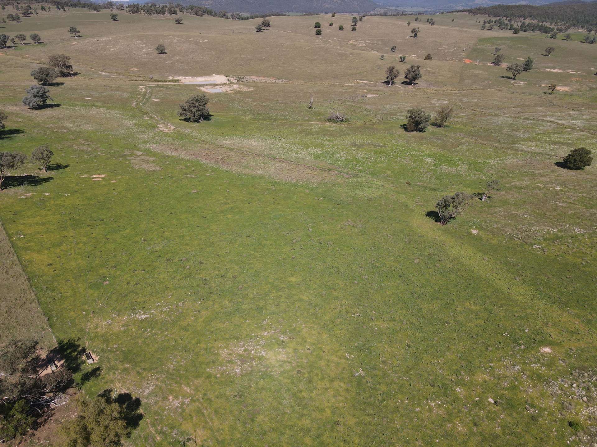 "Babynda" 829 Eulimore Road, Eugowra For Sale by Farmbuy.com - image 15