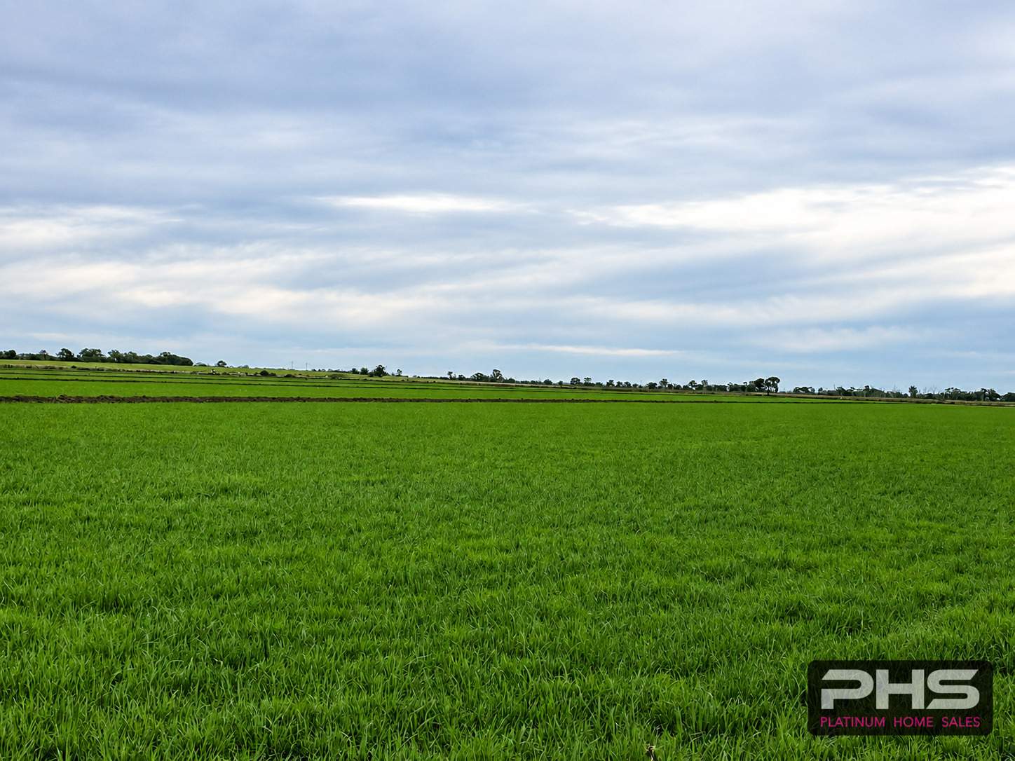 190 Pratt Road, Reedy Lake For Sale by Farmbuy.com - image 7