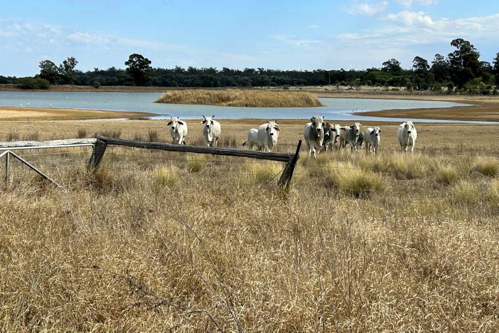 "Sedgwick" Chinchilla - Tara Road, Tara QLD 4421