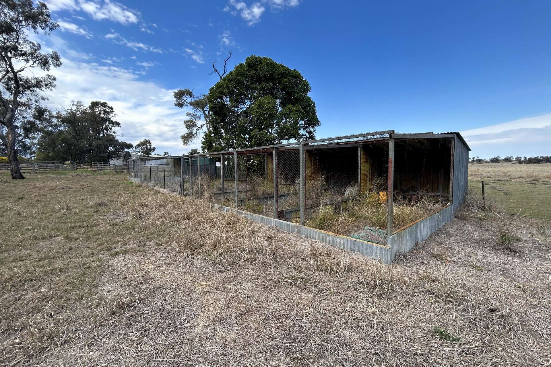 "Sedgwick" Chinchilla - Tara Road, Tara Sold by Farmbuy.com - image 31