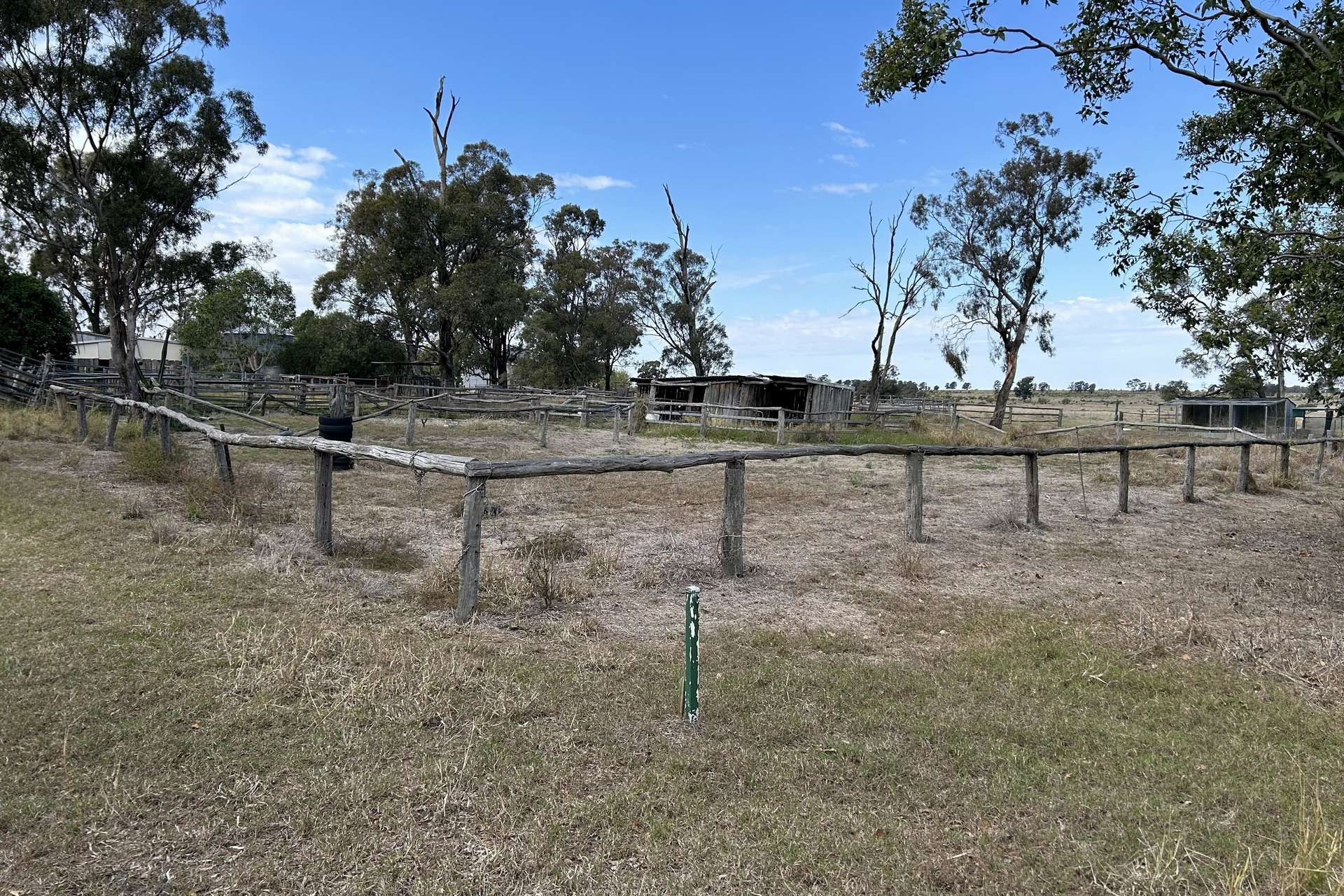 "Sedgwick" Chinchilla - Tara Road, Tara Sold by Farmbuy.com - image 29