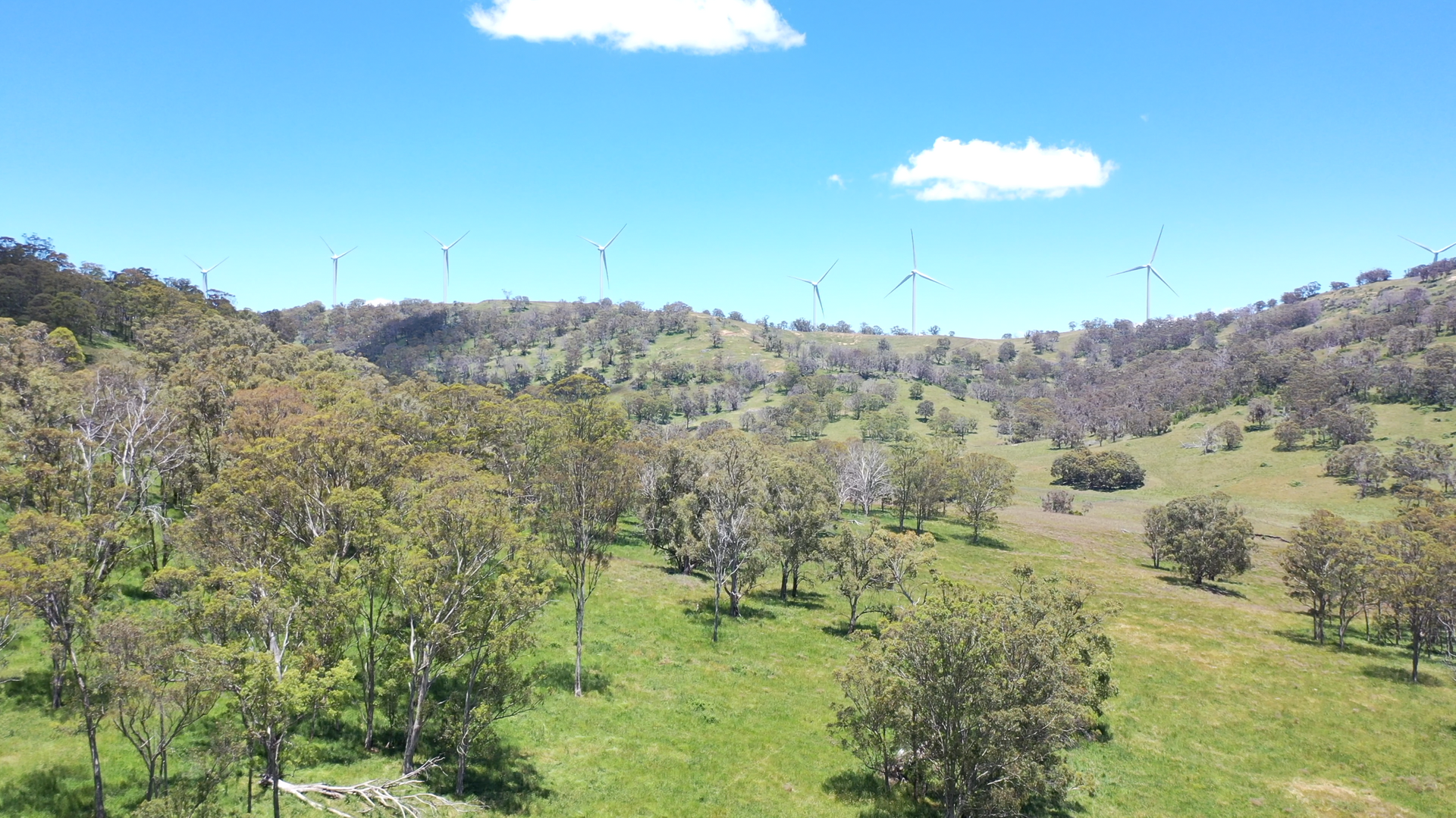 Numeralla/1071 Spring Mountain Road, Glen Innes For Sale by Farmbuy.com - image 24