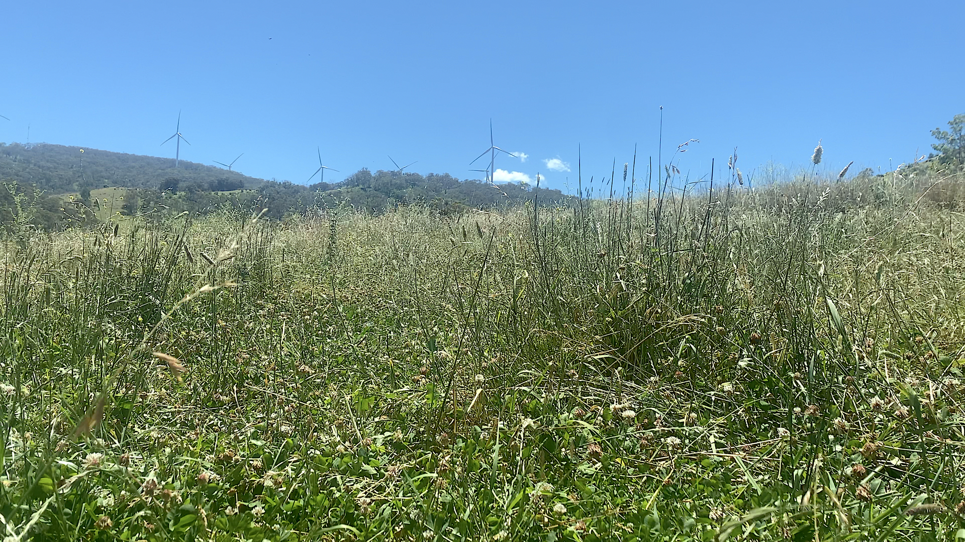 Numeralla/1071 Spring Mountain Road, Glen Innes For Sale by Farmbuy.com - image 11