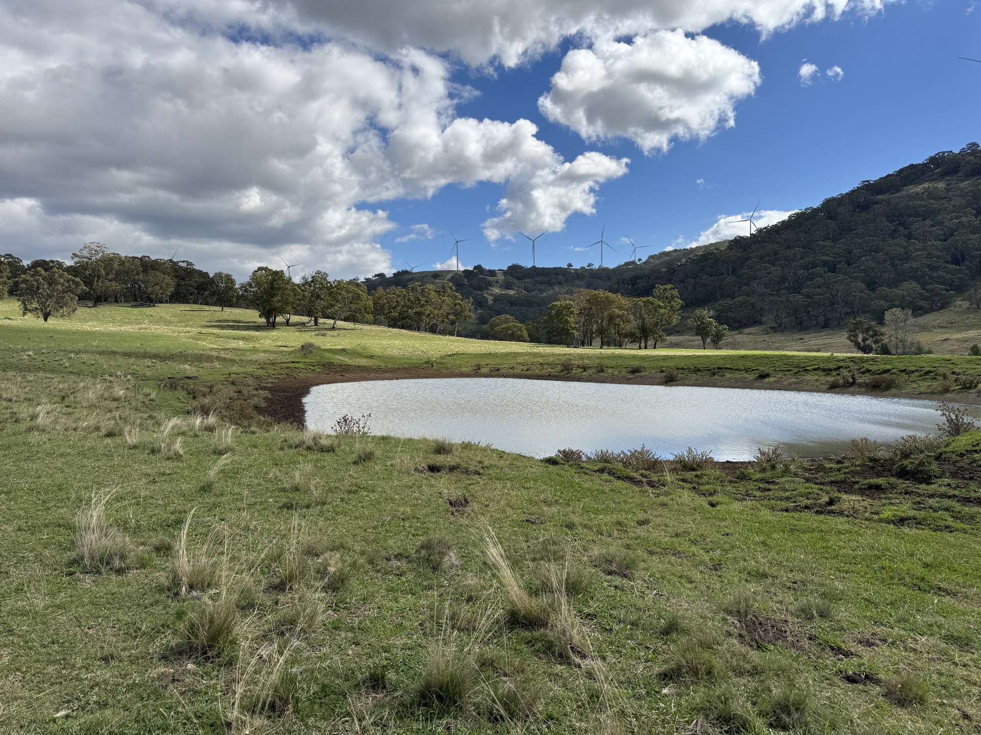 Numeralla/1071 Spring Mountain Road, Glen Innes For Sale by Farmbuy.com - image 26