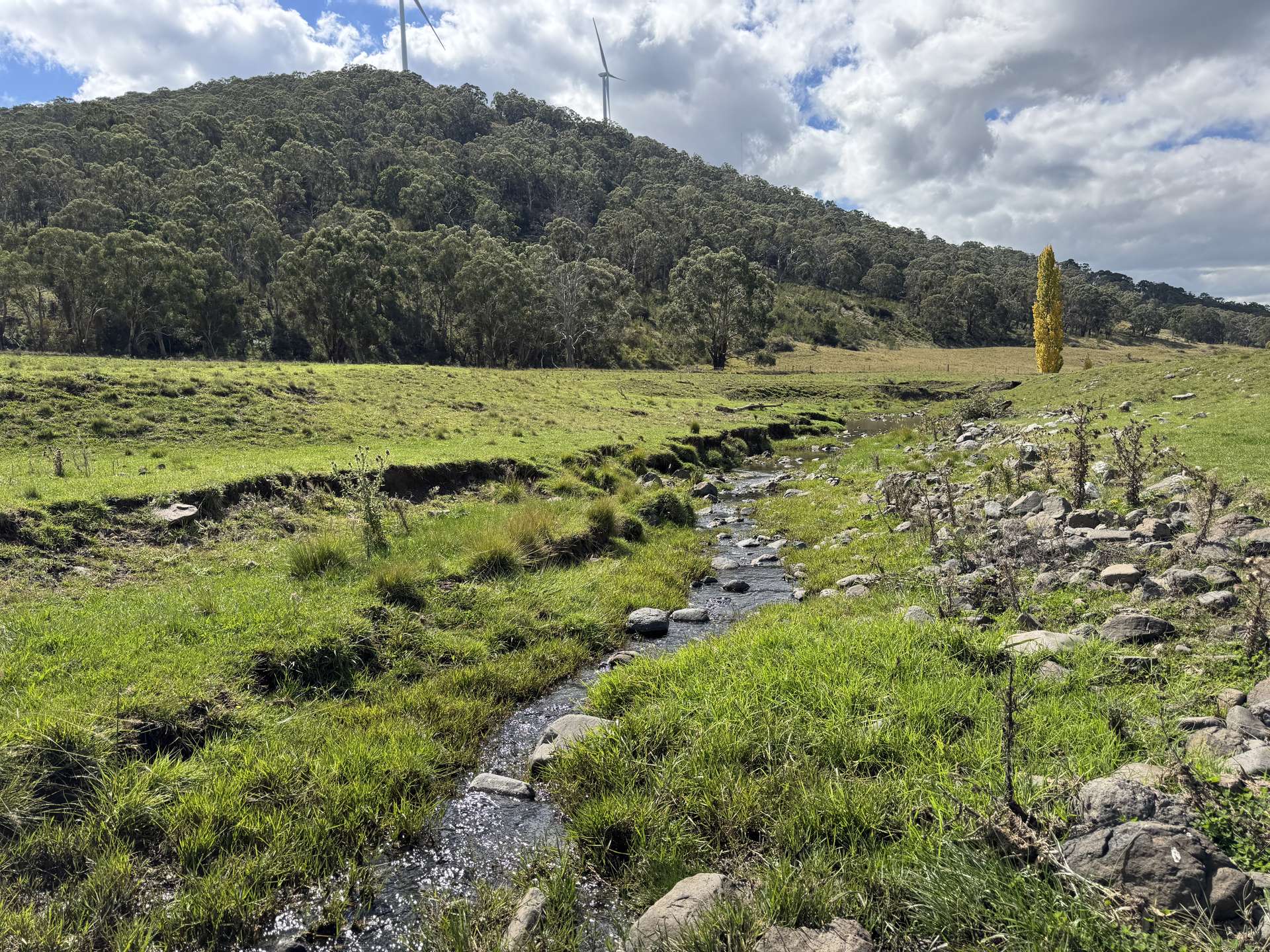 Numeralla/1071 Spring Mountain Road, Glen Innes For Sale by Farmbuy.com - image 25