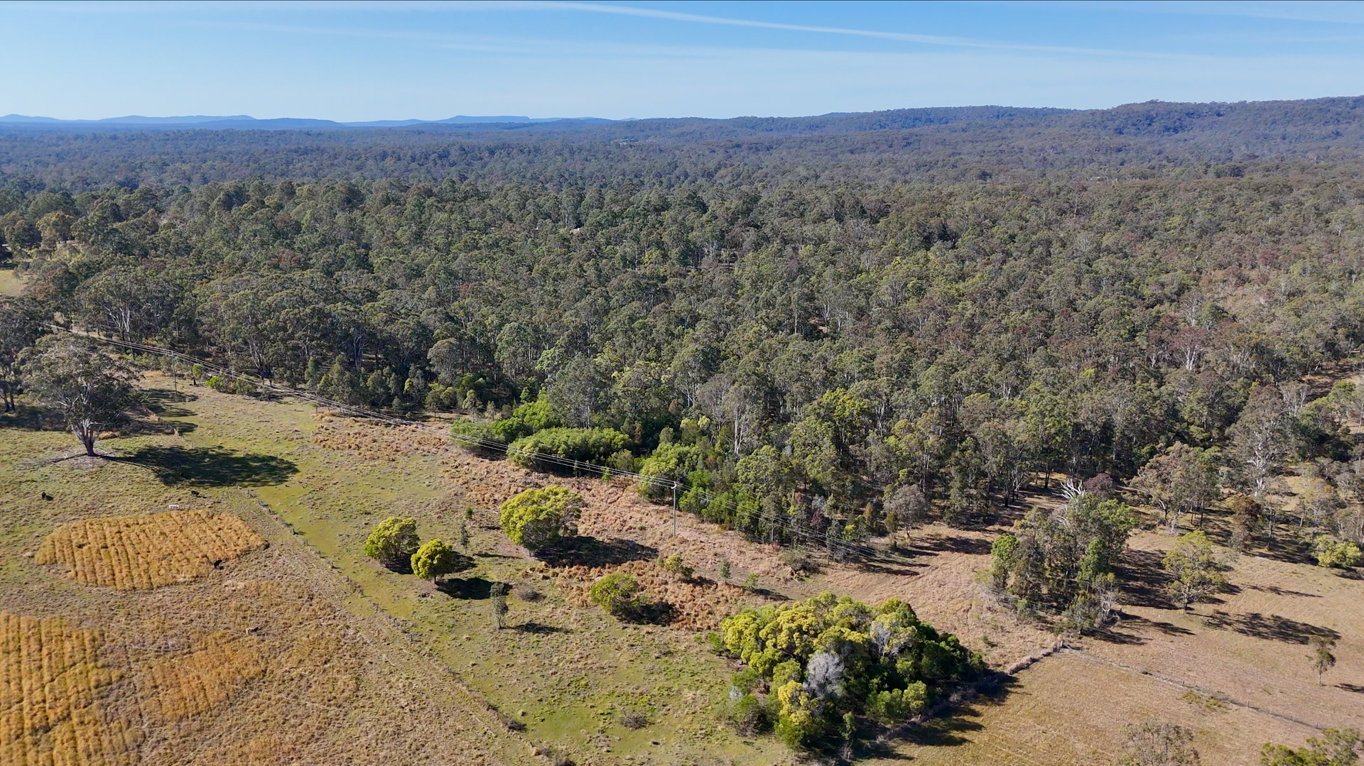Lot 9 Clearview Road, Coutts Crossing Sold by Farmbuy.com - image 3