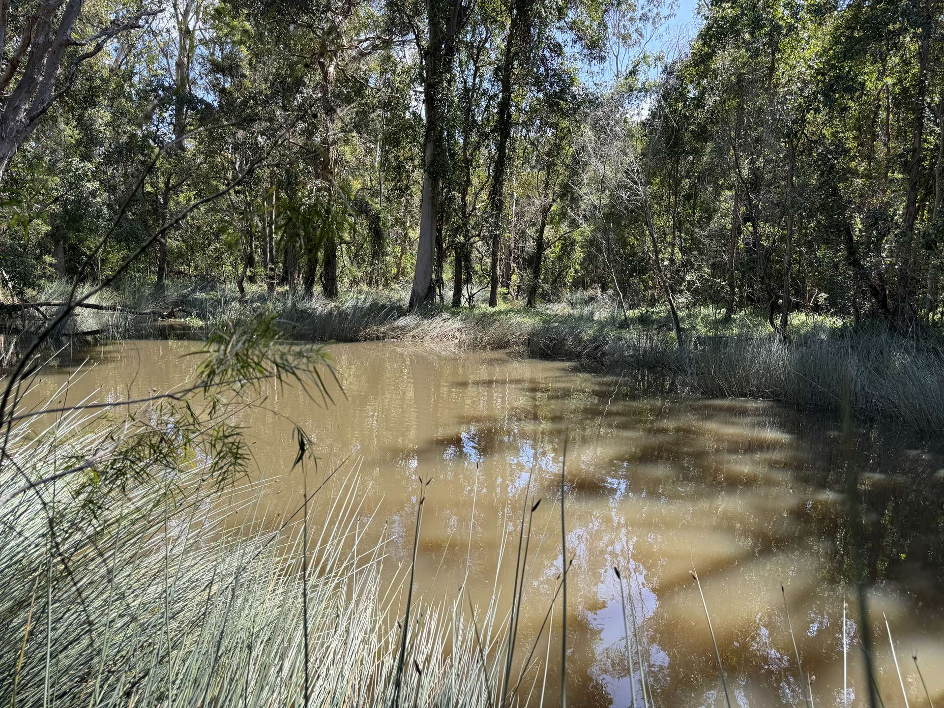 'Cunjaree' 289 Featherstones Road, Sherwood For Sale by Farmbuy.com - image 22