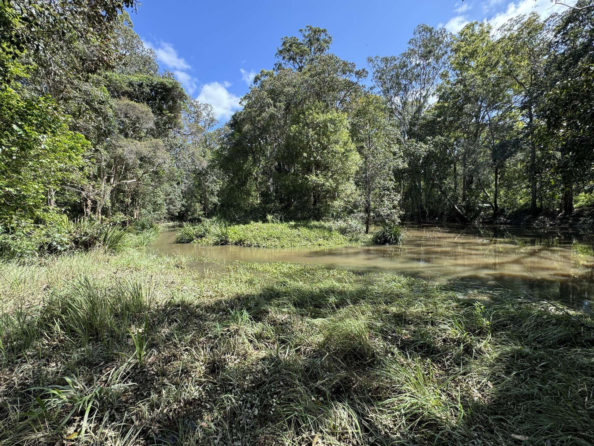 'Cunjaree' 289 Featherstones Road, Sherwood For Sale by Farmbuy.com - image 21