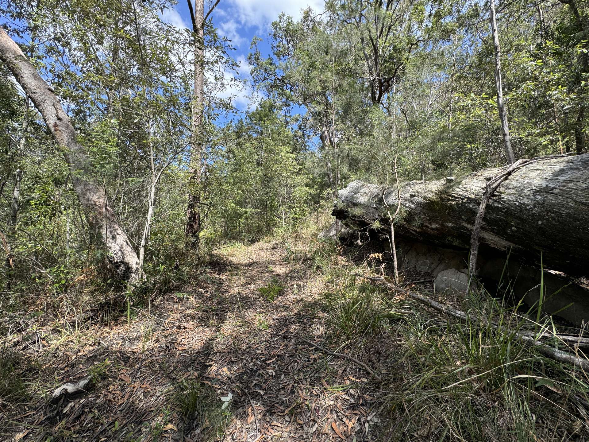 'Cunjaree' 289 Featherstones Road, Sherwood For Sale by Farmbuy.com - image 18