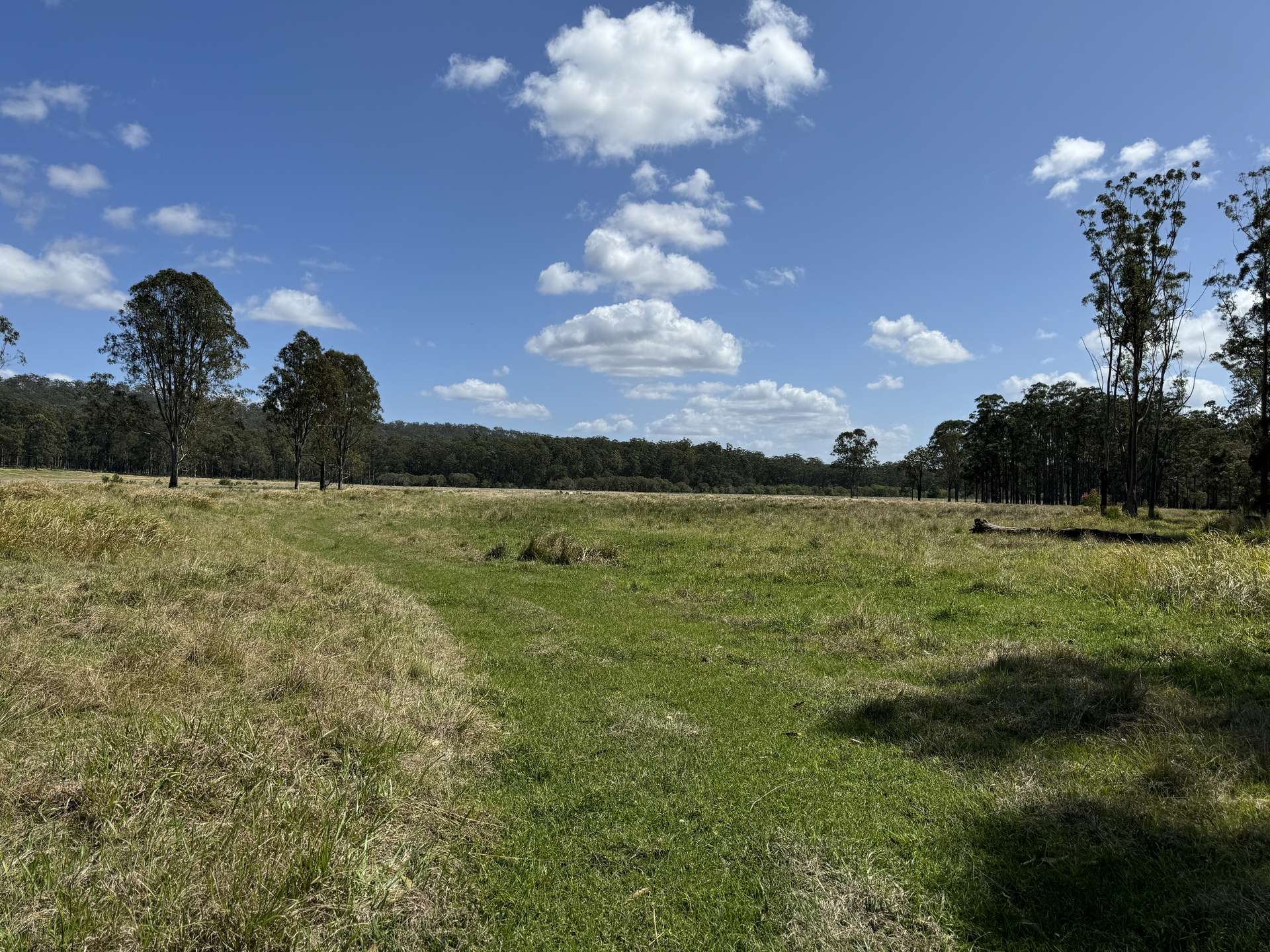 'Cunjaree' 289 Featherstones Road, Sherwood For Sale by Farmbuy.com - image 23