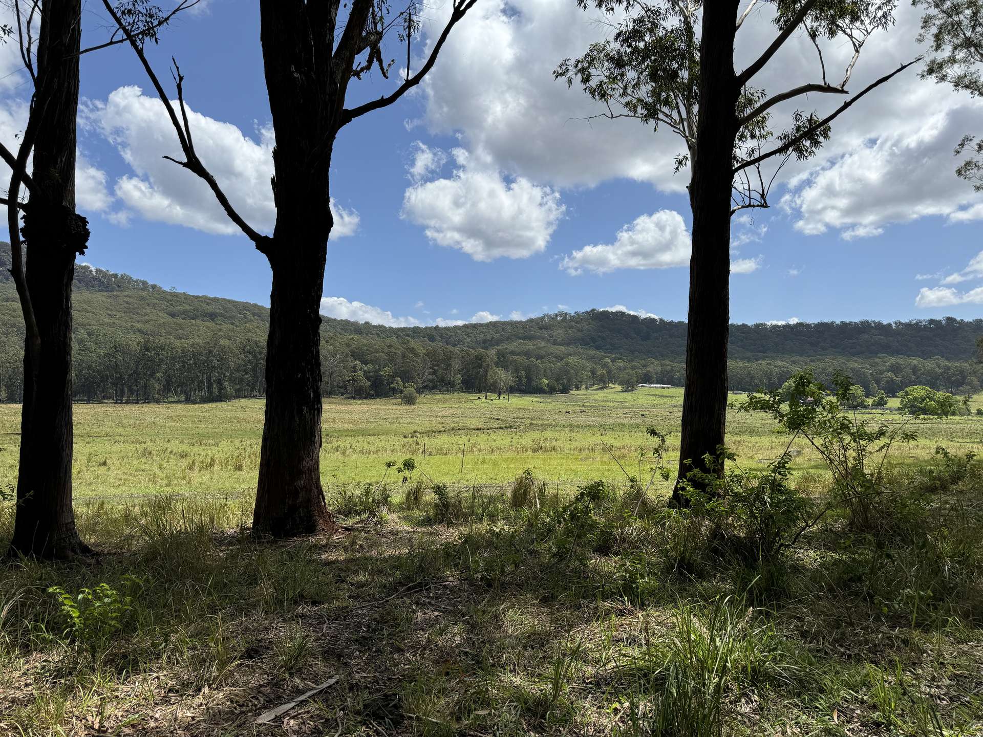 'Cunjaree' 289 Featherstones Road, Sherwood For Sale by Farmbuy.com - image 14
