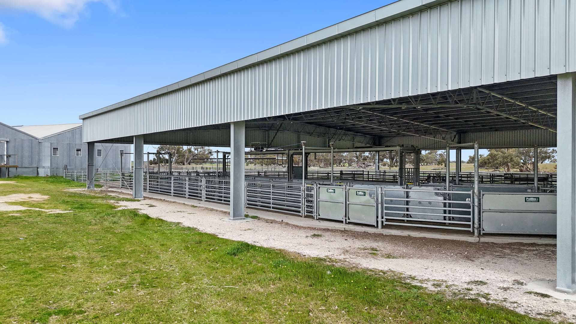 1412 Red Bluff Road, Bordertown For Sale by Farmbuy.com - image 31