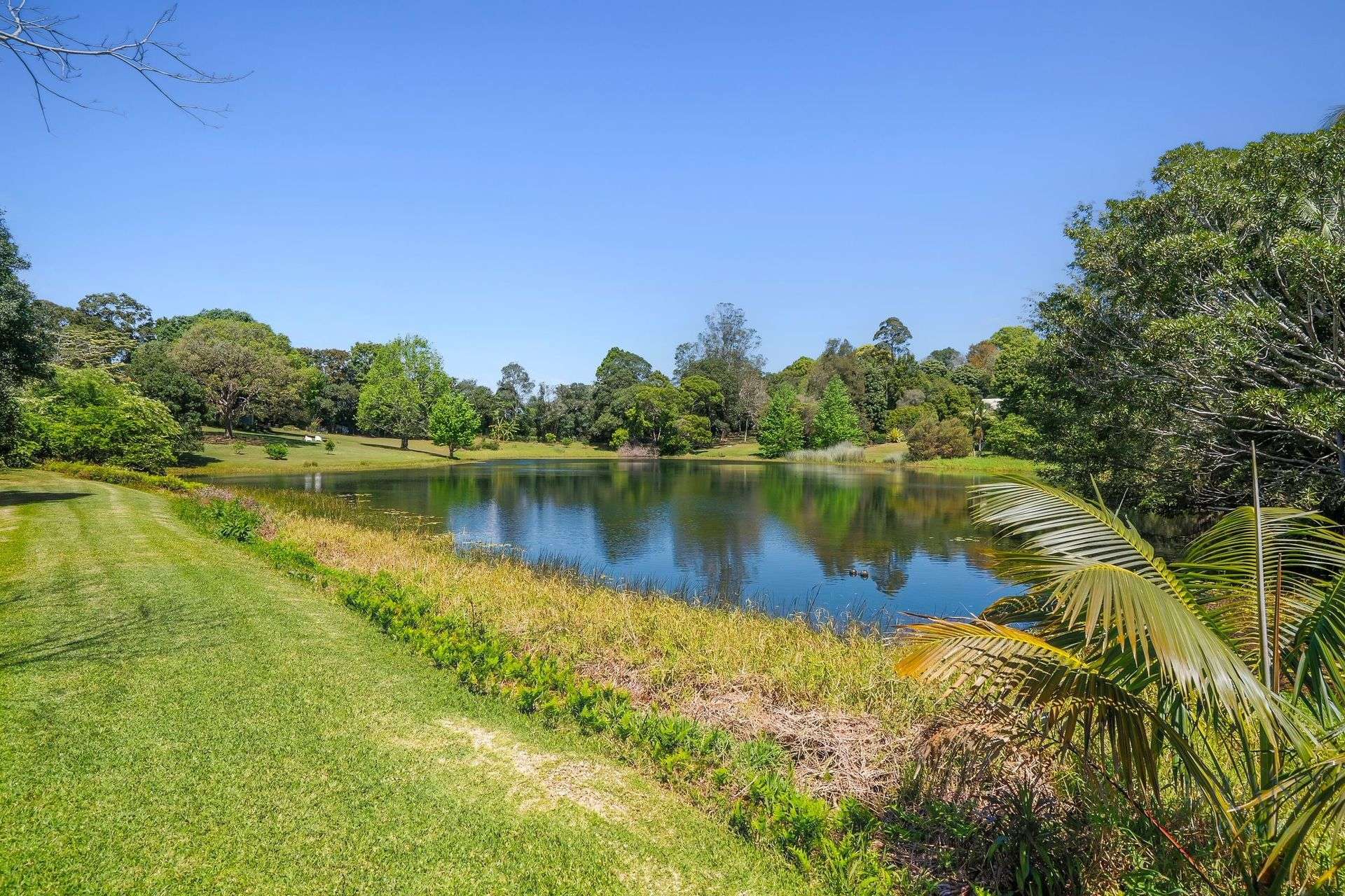 392 Mountain View Road, Maleny For Sale by Farmbuy.com - image 27