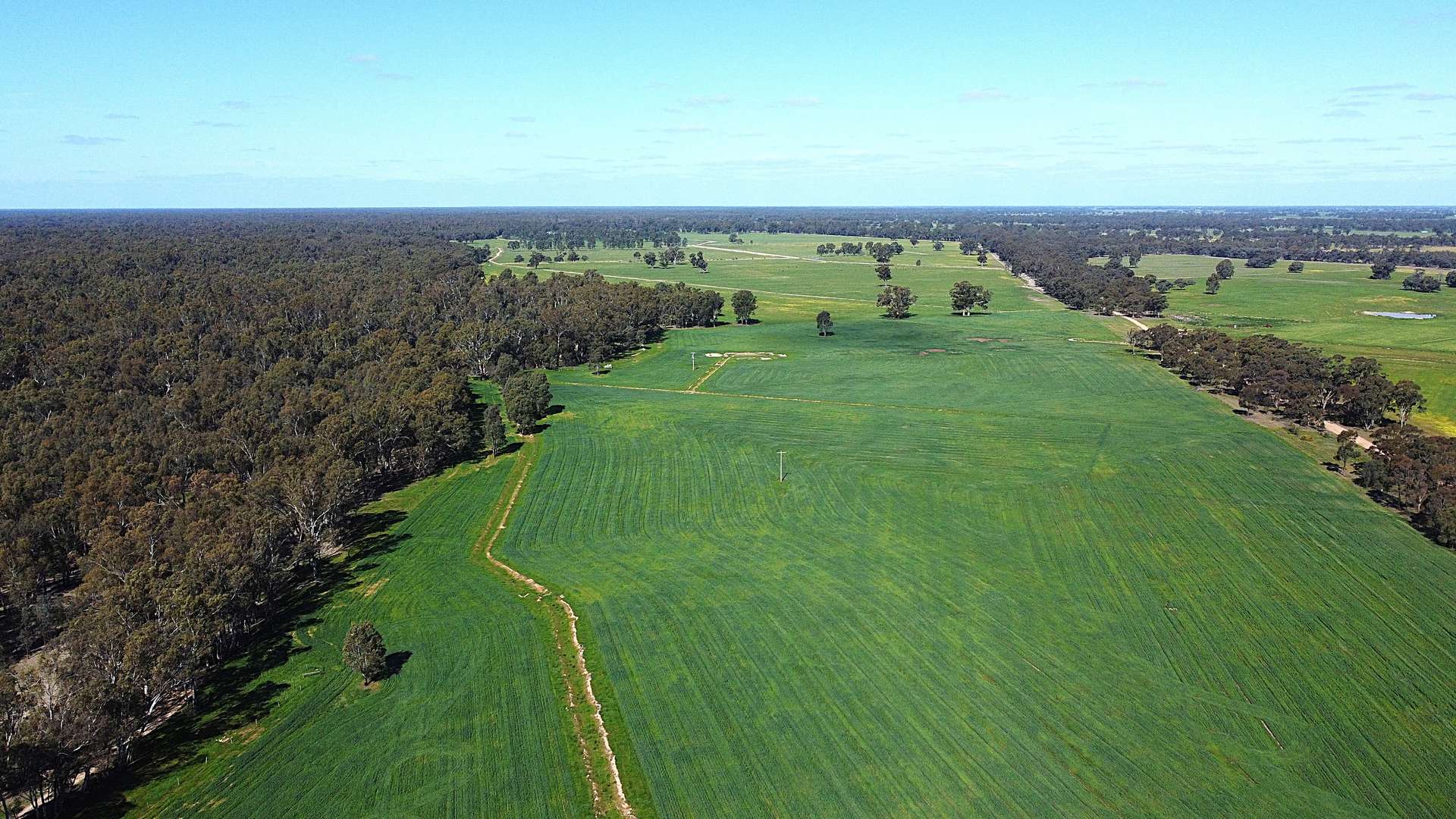 . Bangerang Road, Kanyapella Sold by Farmbuy.com - image 14
