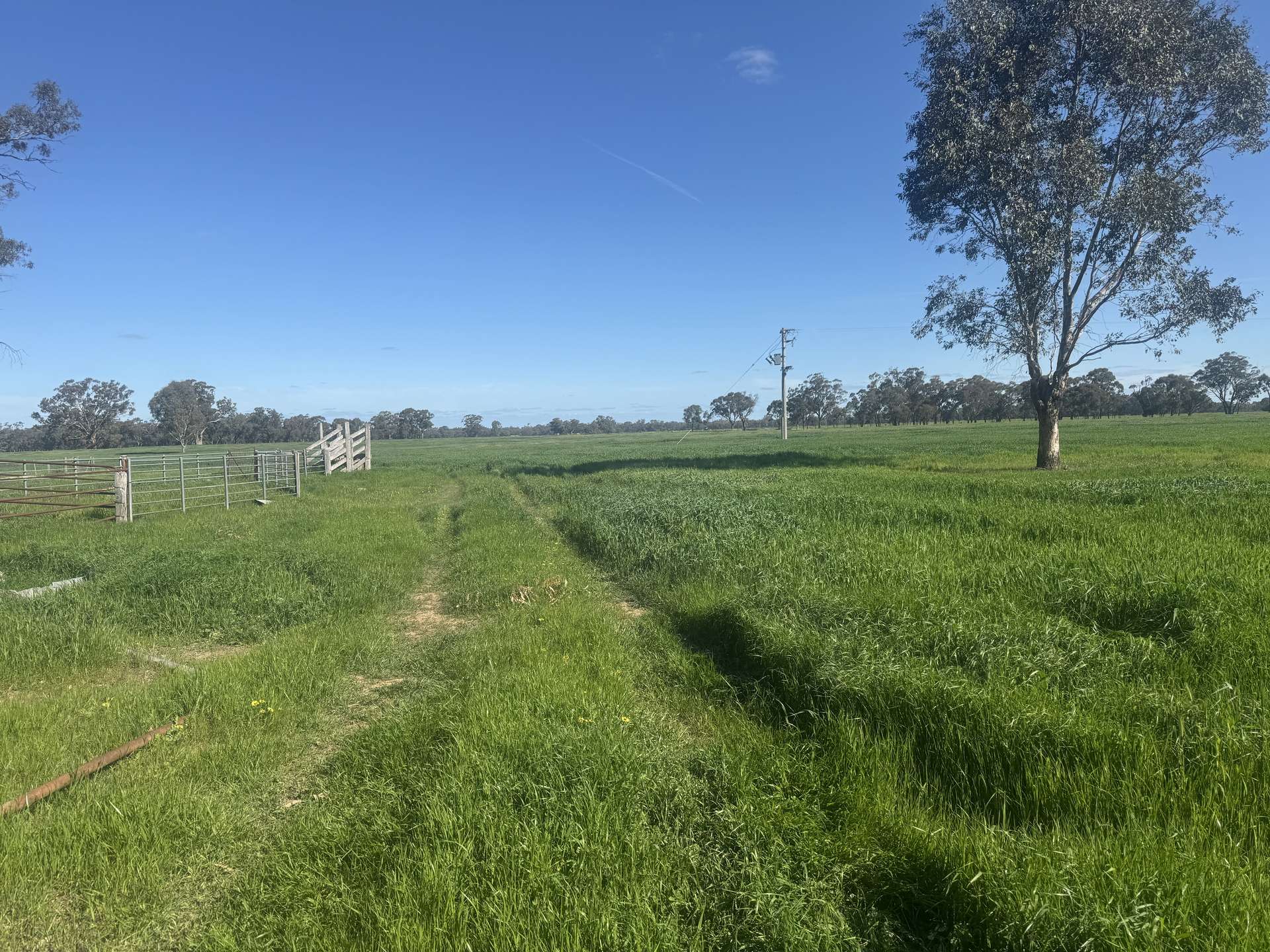 . Bangerang Road, Kanyapella Sold by Farmbuy.com - image 27
