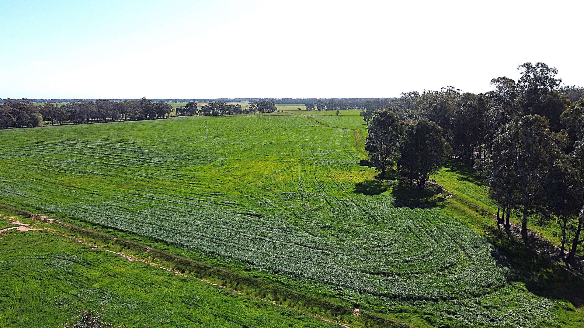 . Bangerang Road, Kanyapella Sold by Farmbuy.com - image 19