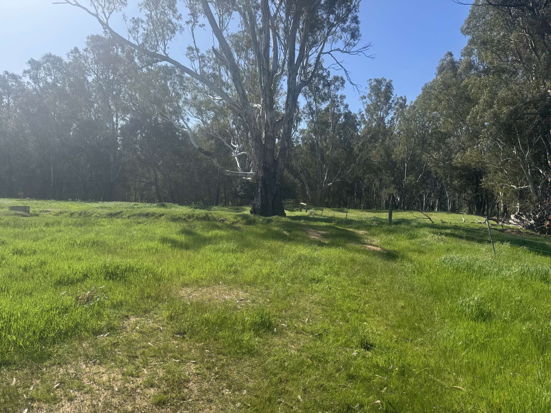 . Bangerang Road, Kanyapella Sold by Farmbuy.com - image 26