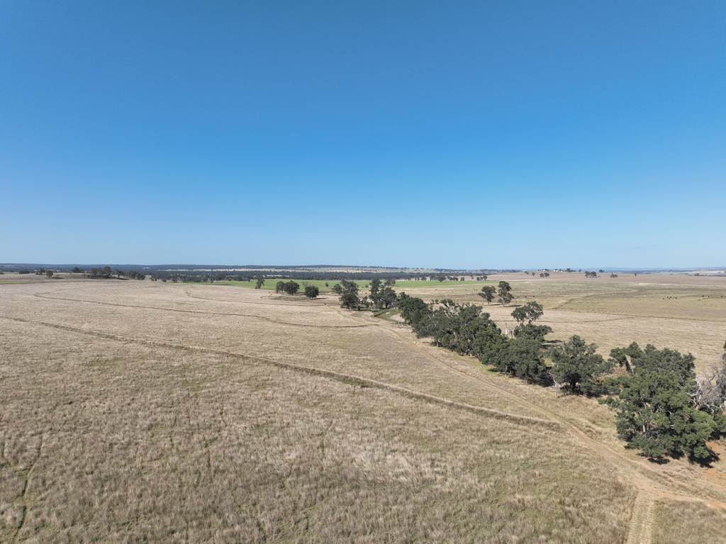 "Block Four" 465 Napier Lane, Coonabarabran NSW 2357