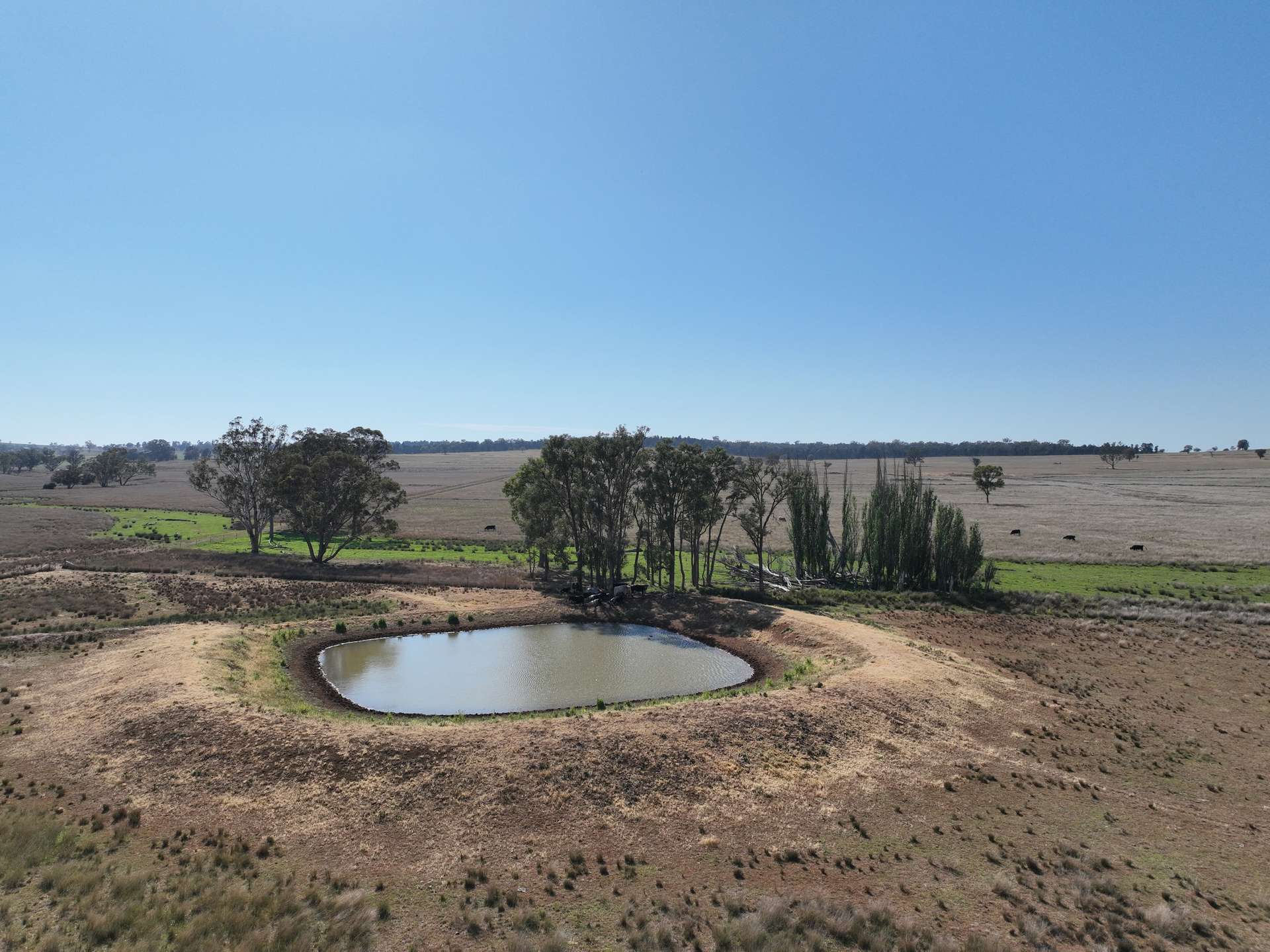"Block Four" 465 Napier Lane, Coonabarabran Sold by Farmbuy.com - image 12