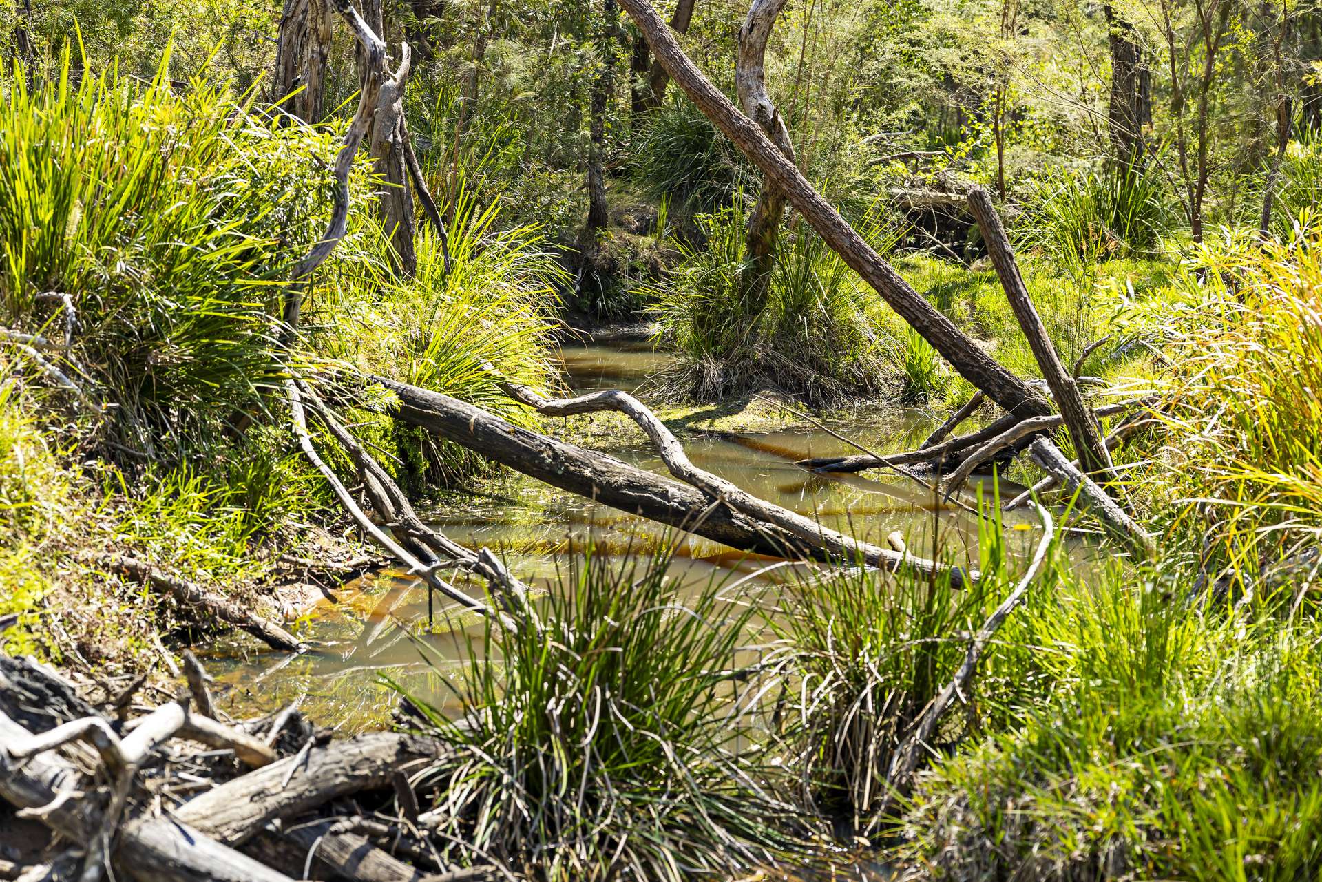"Wombalinger" Kilcoy - Murgon Road, Kingaham For Sale by Farmbuy.com - image 5